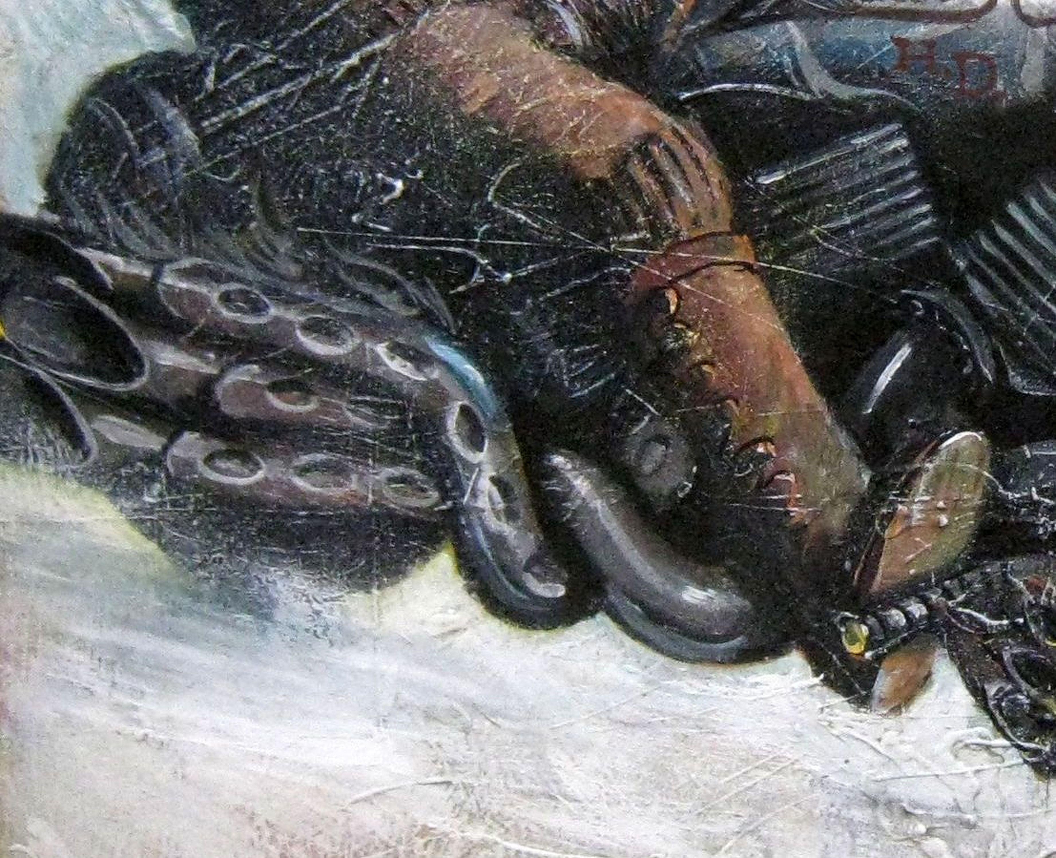 Cold Fury For Sale 1