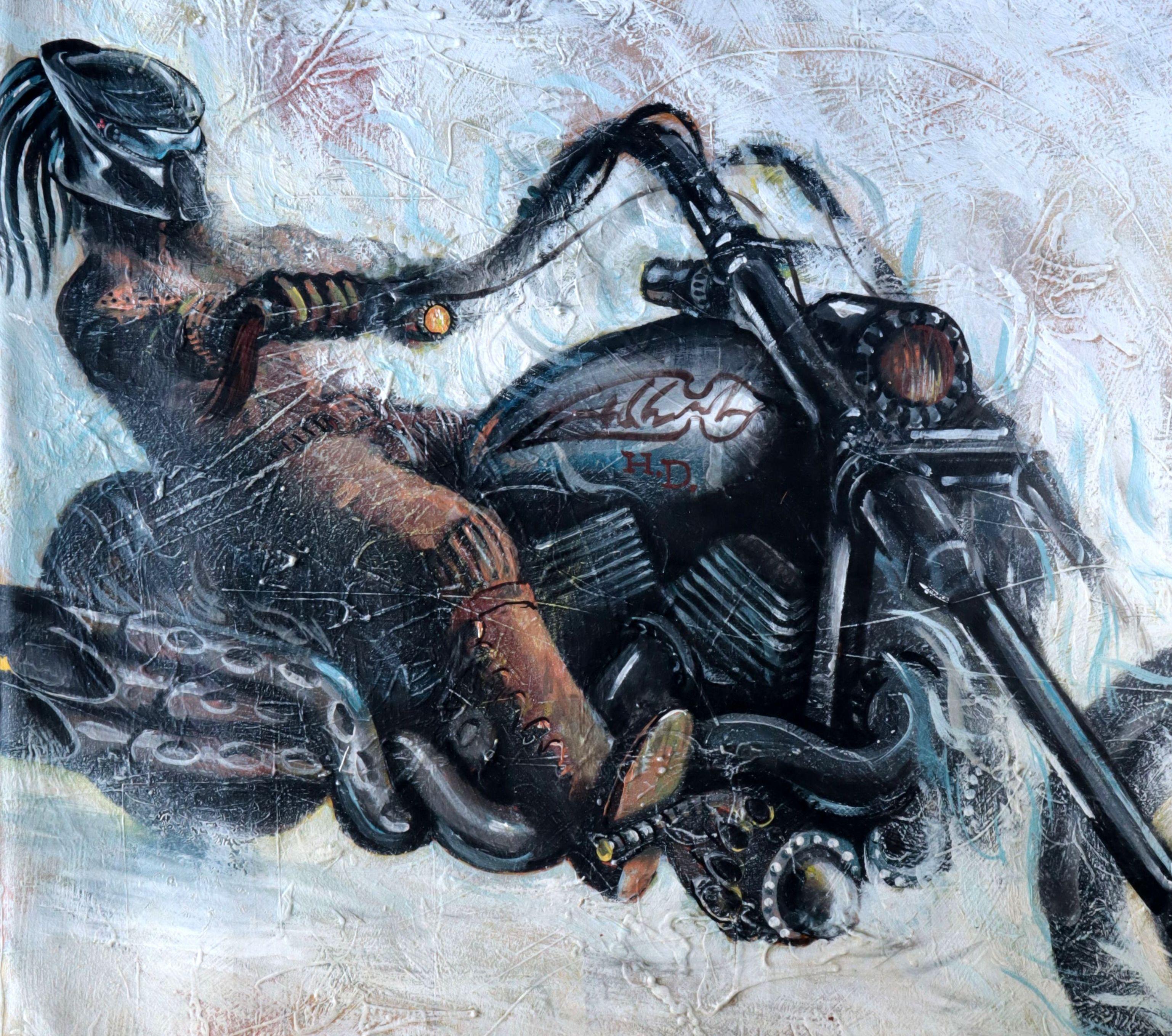 Cold Fury For Sale 2