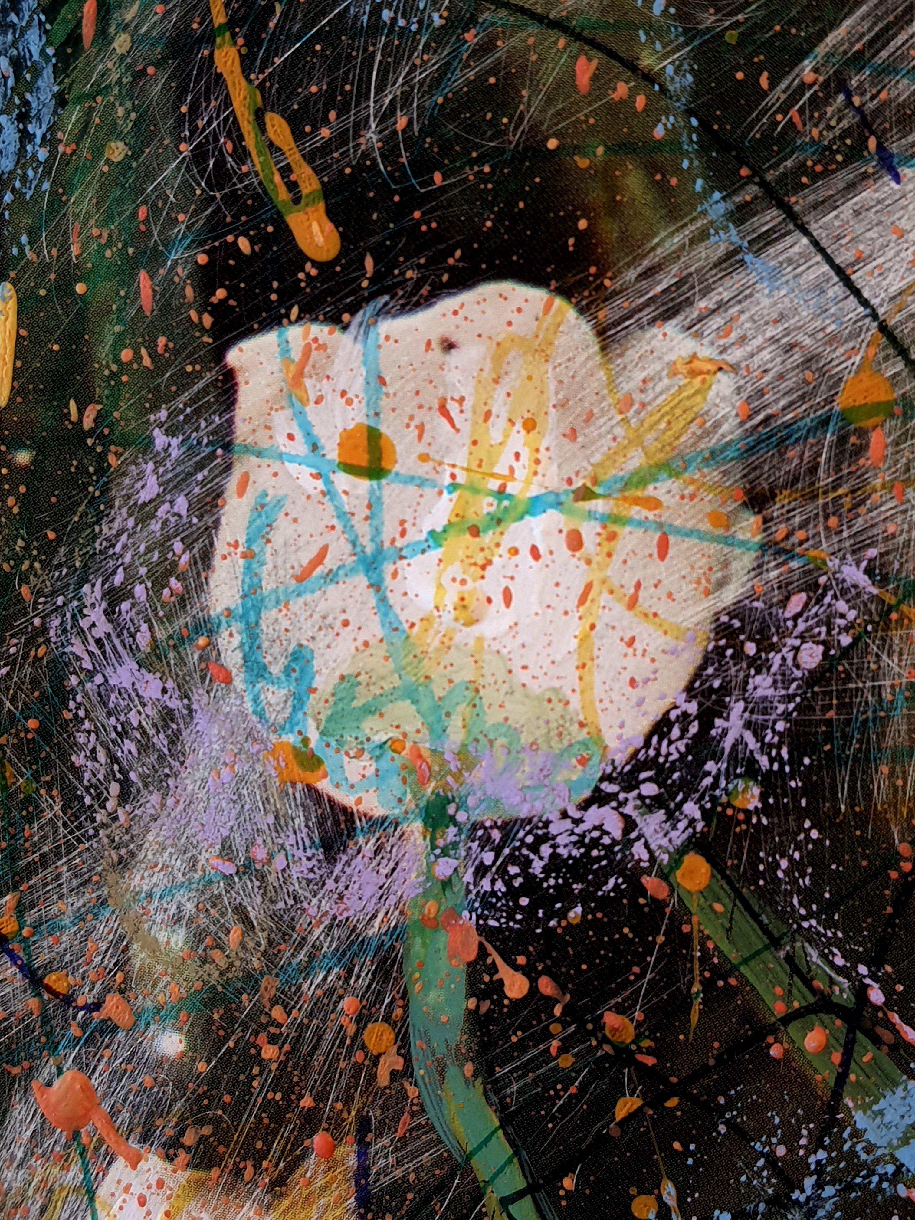 Drachengeboren im Angebot 3