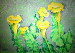 I fiori della felicità
