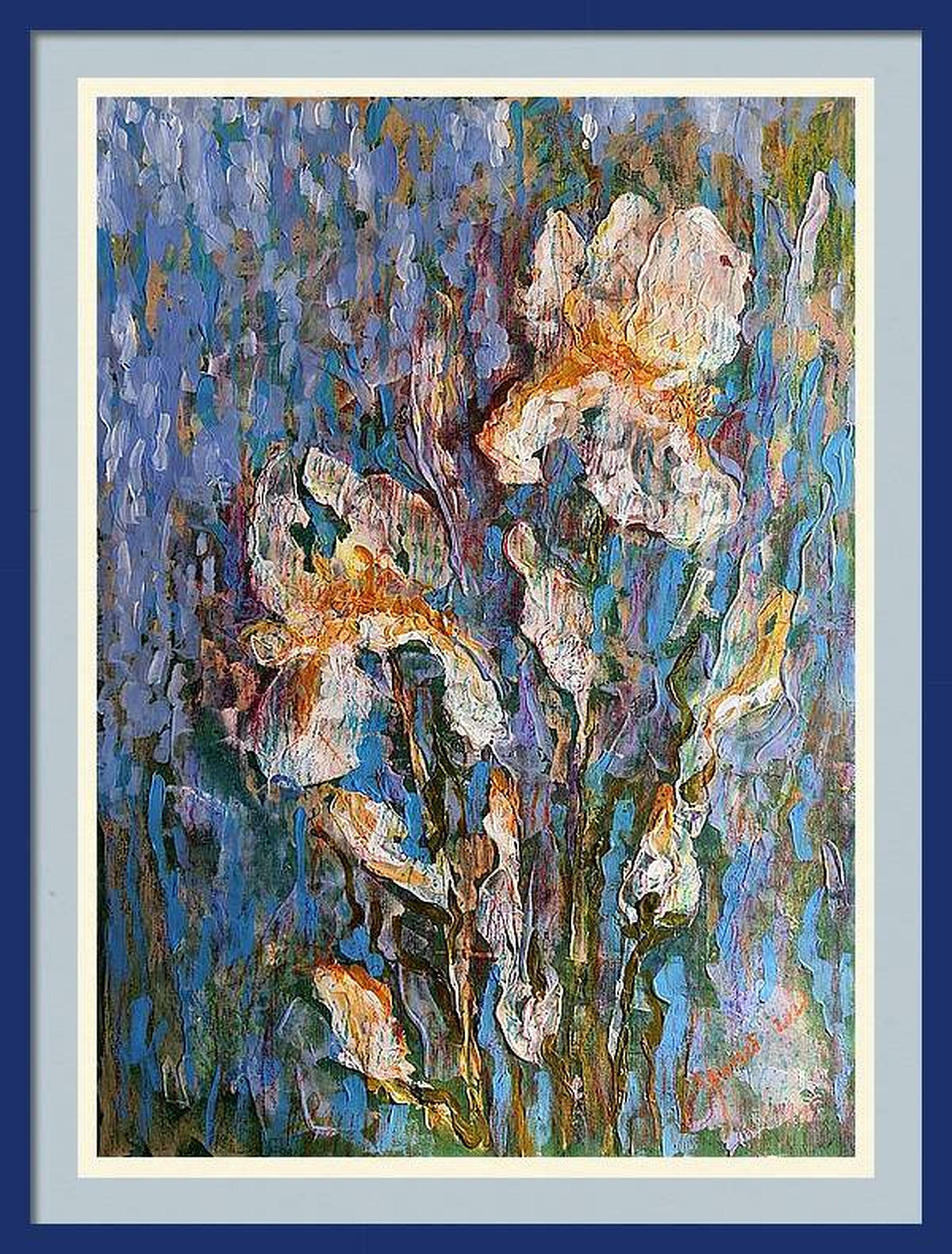 Iris celestiales en venta 6