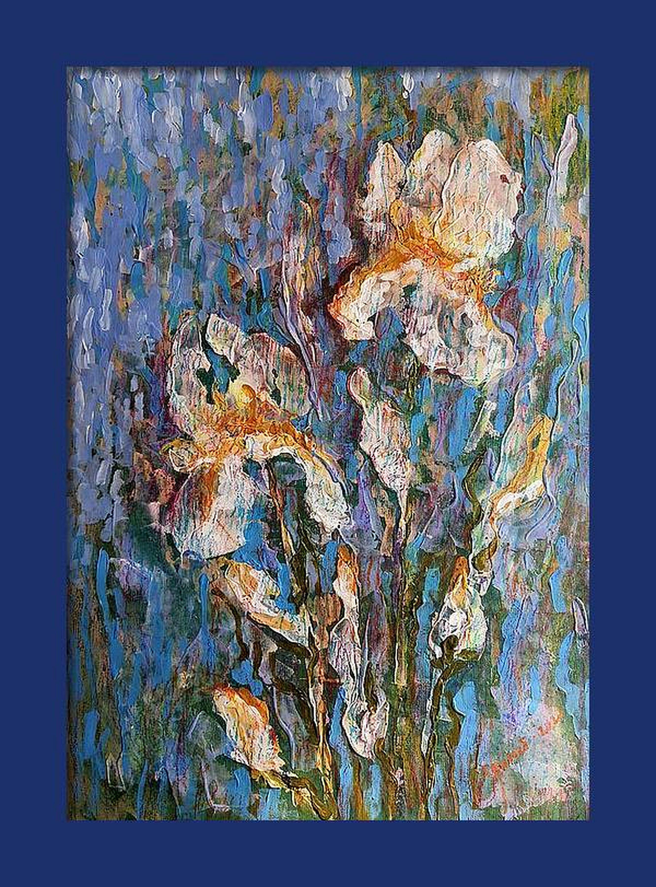 Iris celestiales en venta 8