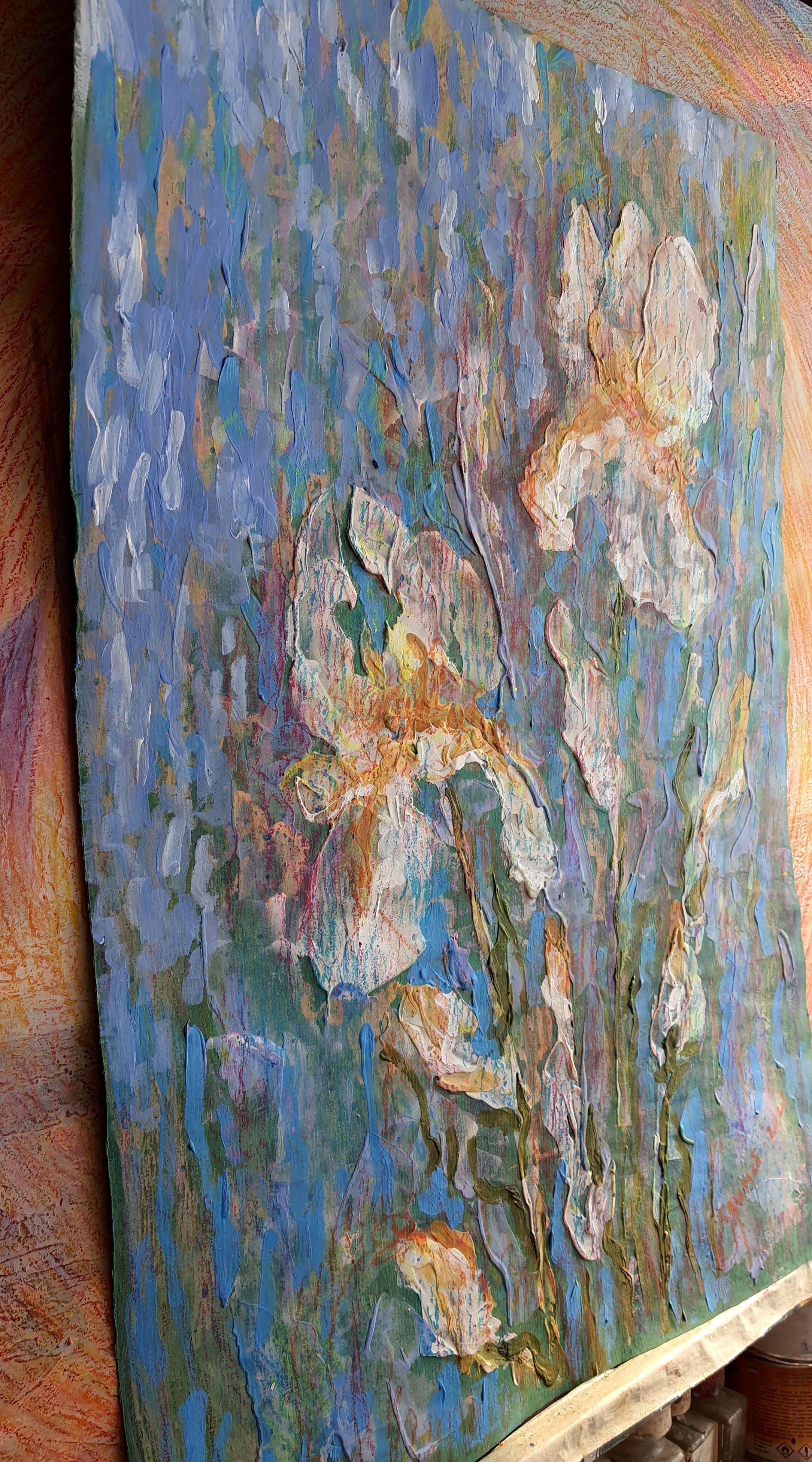 Iris celestiales en venta 3