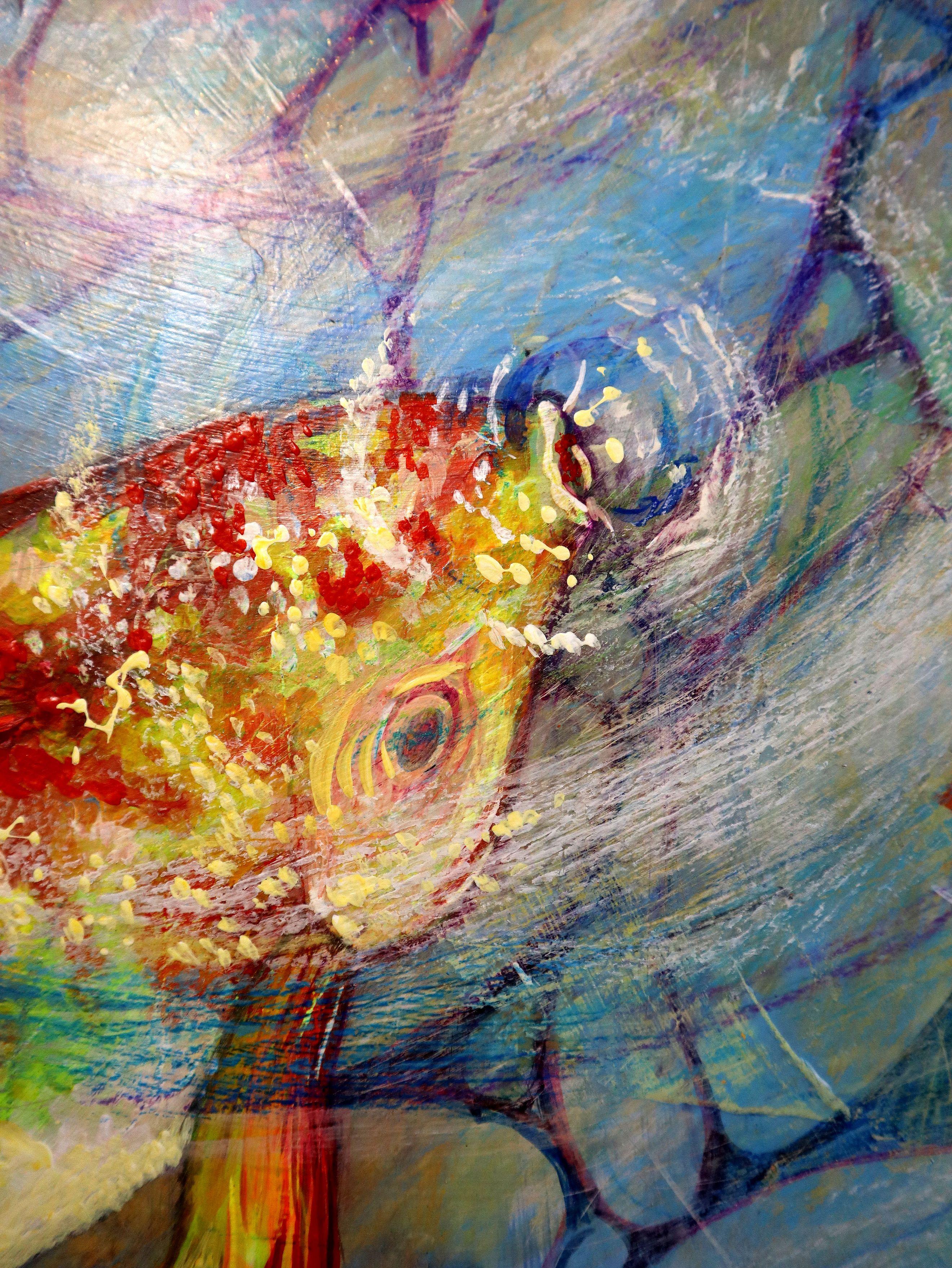 Pesce Koi 2 in vendita 5