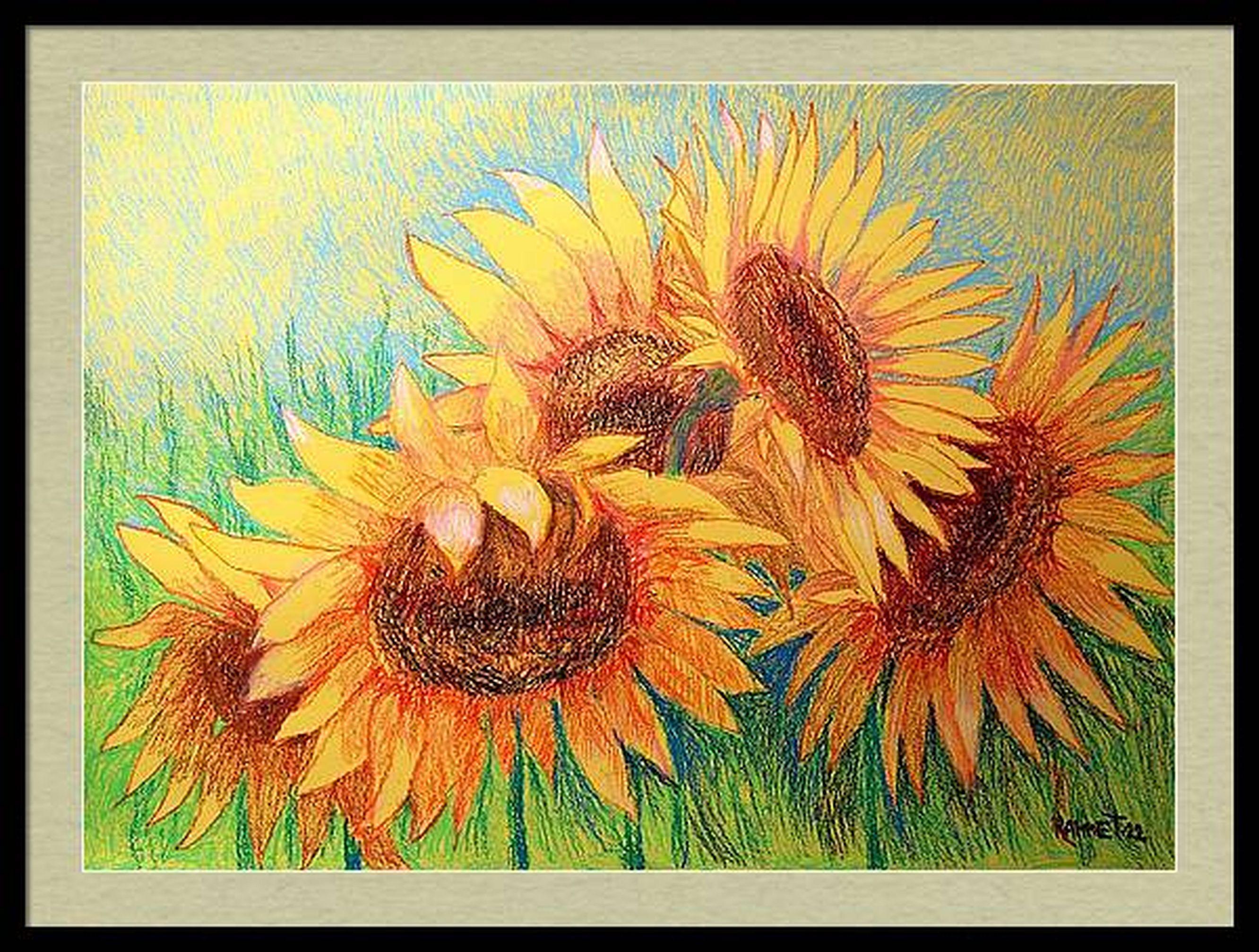 I miei bellissimi girasoli5 in vendita 7