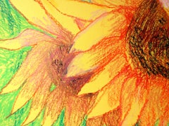 My Beautiful Sunflowers5