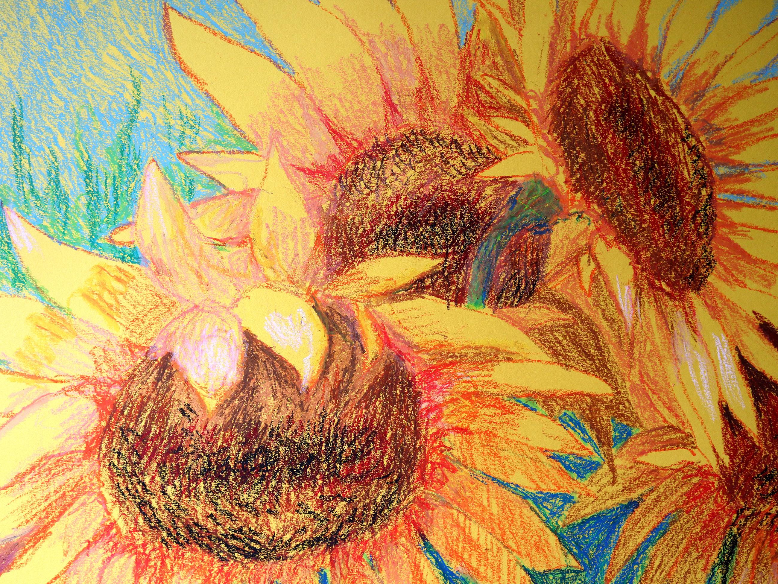 I miei bellissimi girasoli5 in vendita 2