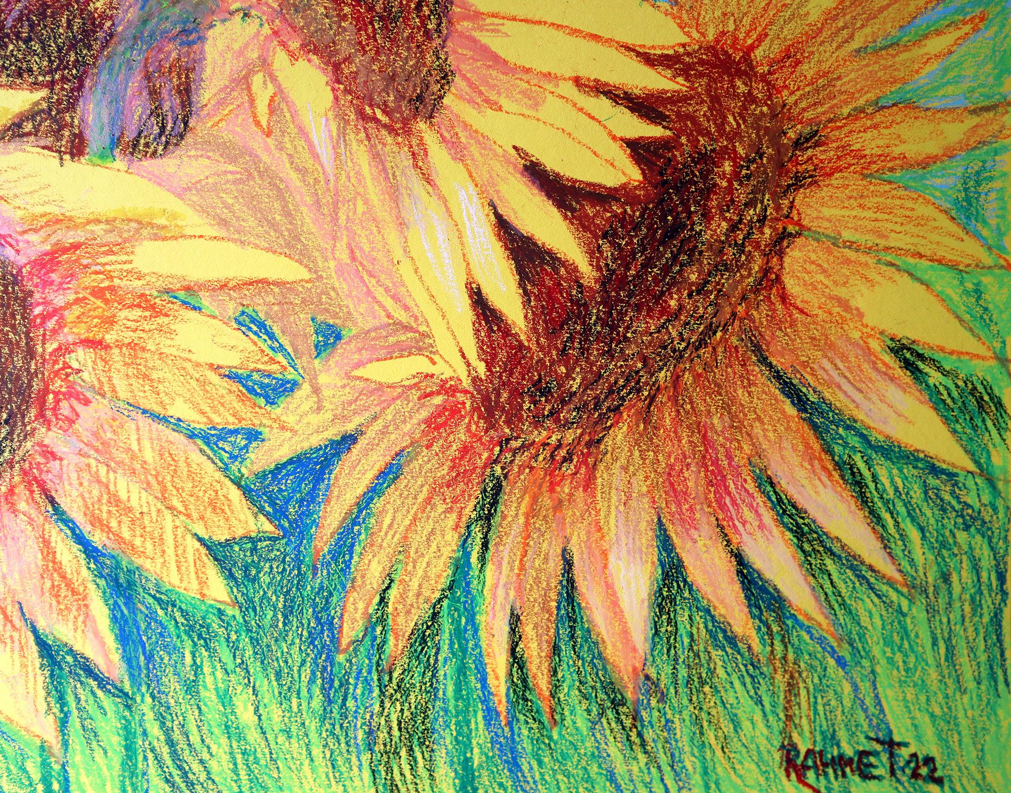 I miei bellissimi girasoli5 in vendita 3
