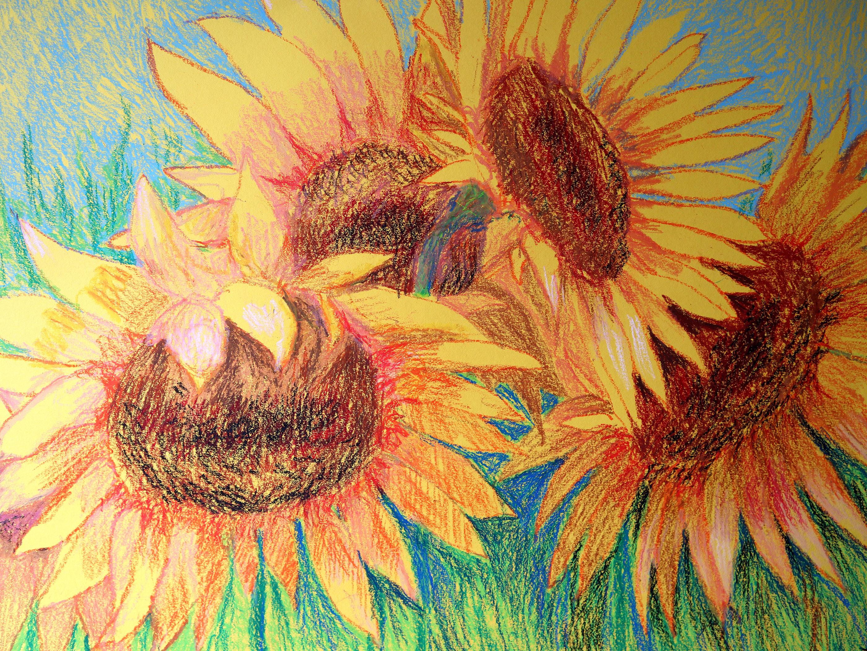 I miei bellissimi girasoli5 in vendita 4