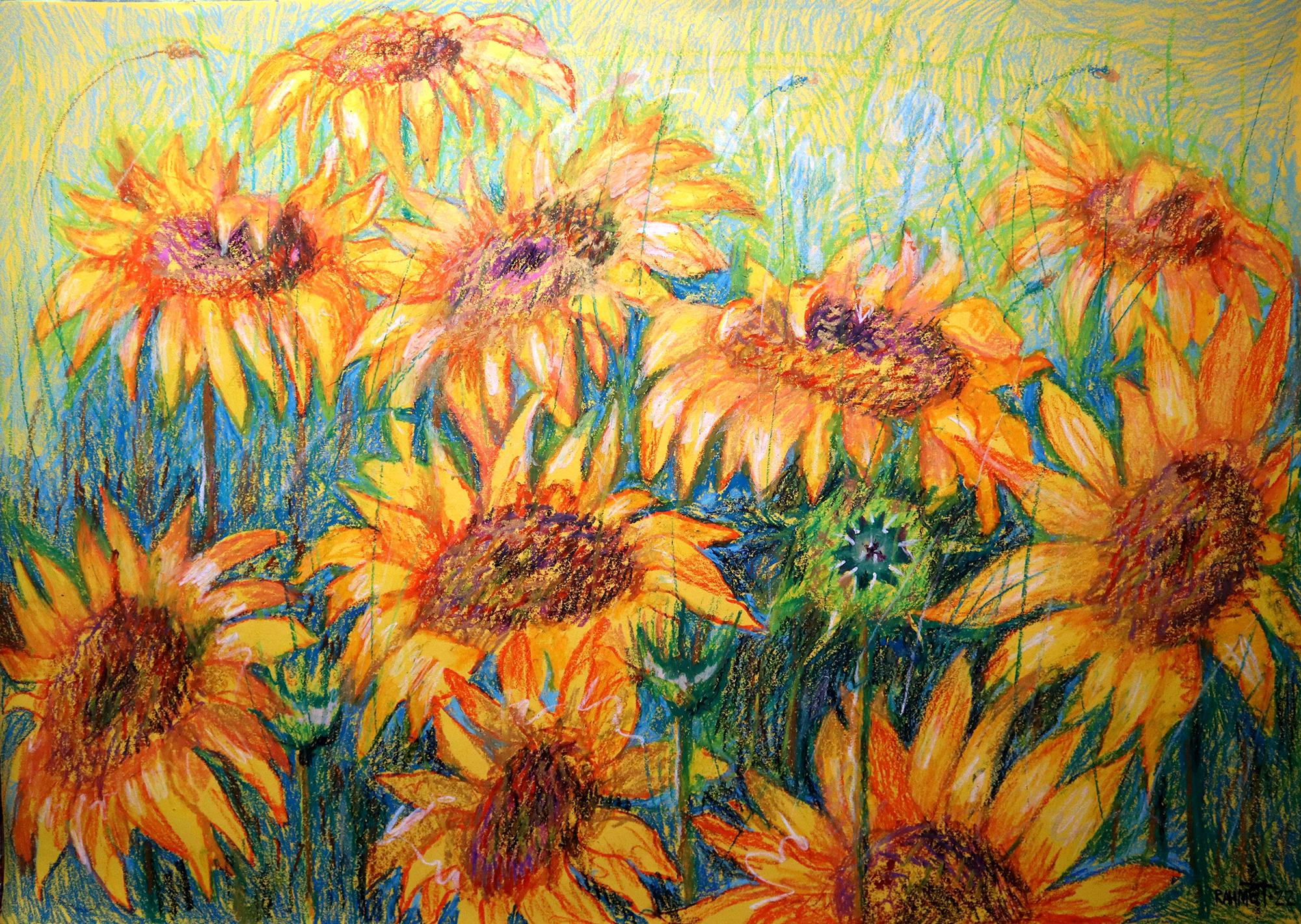 I MIEI GIRASOLI