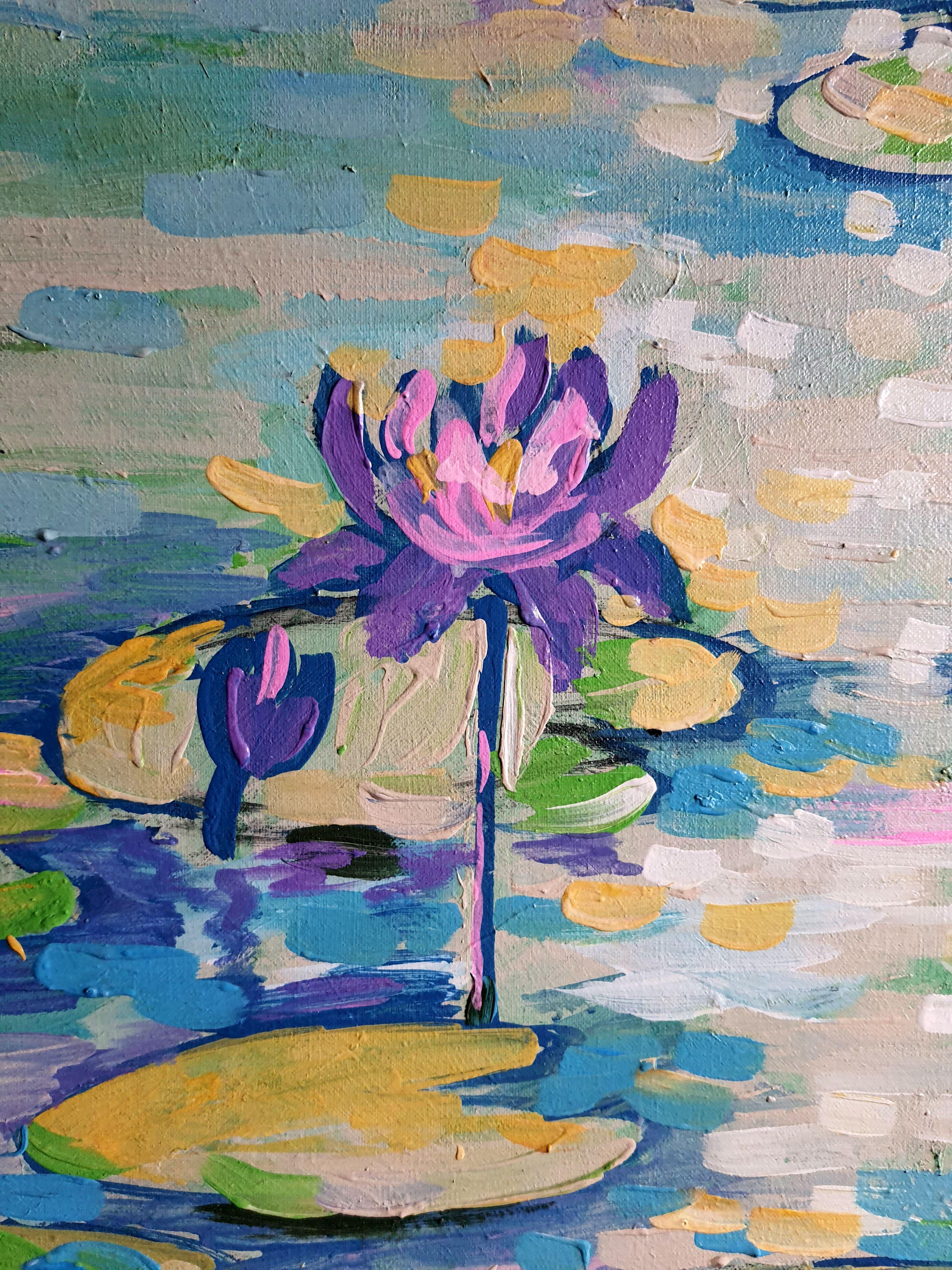 Nymphaea im Angebot 7