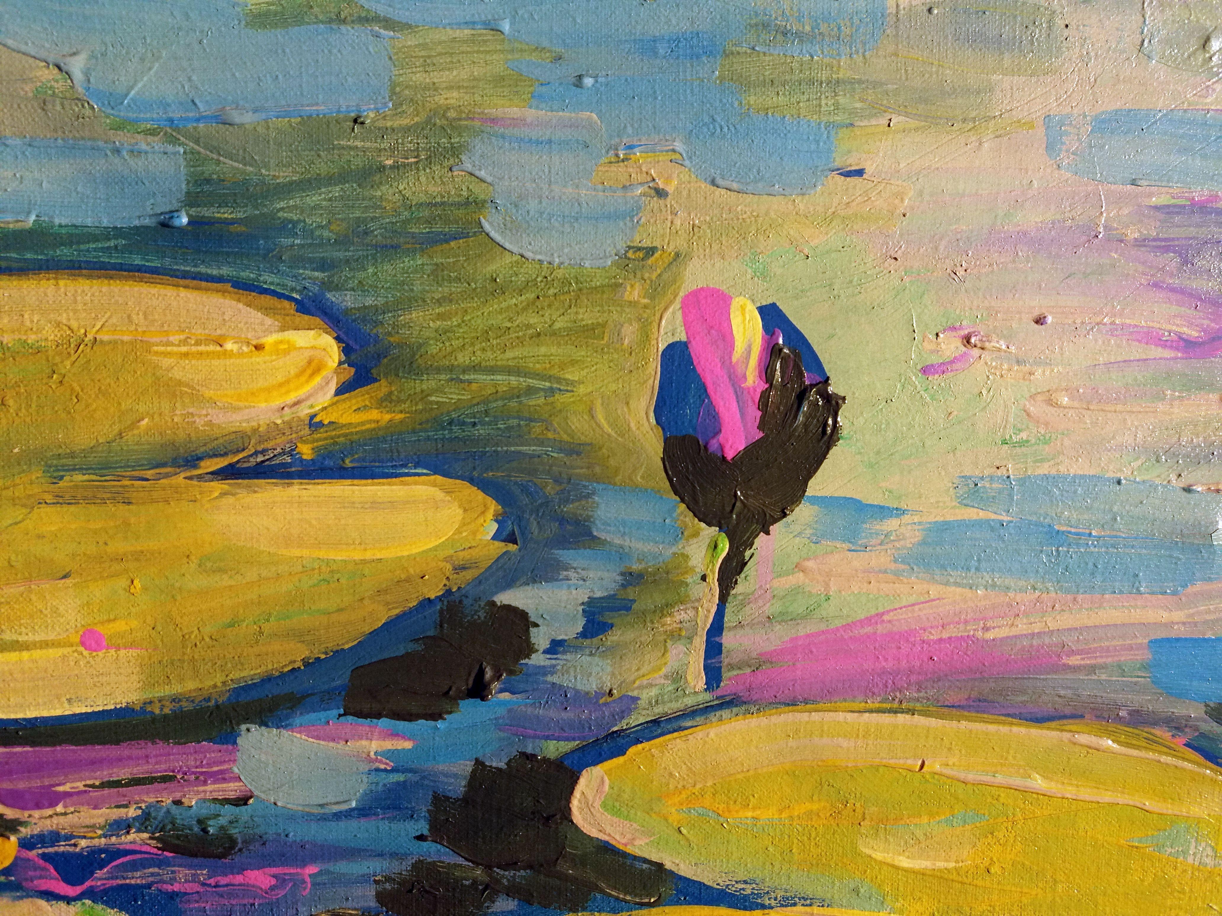 Nymphaea im Angebot 1