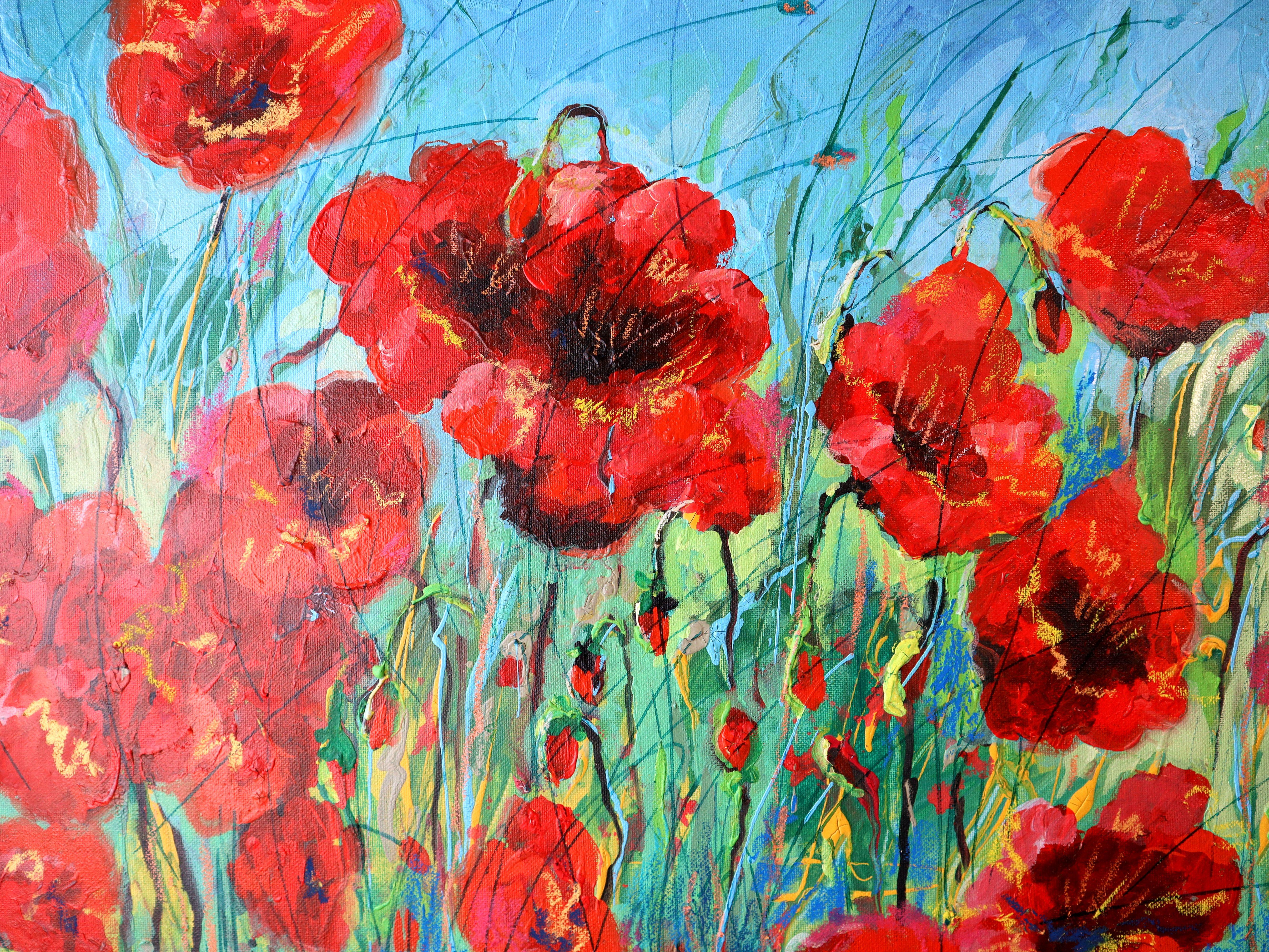 Mohnblumen Rot im Angebot 4