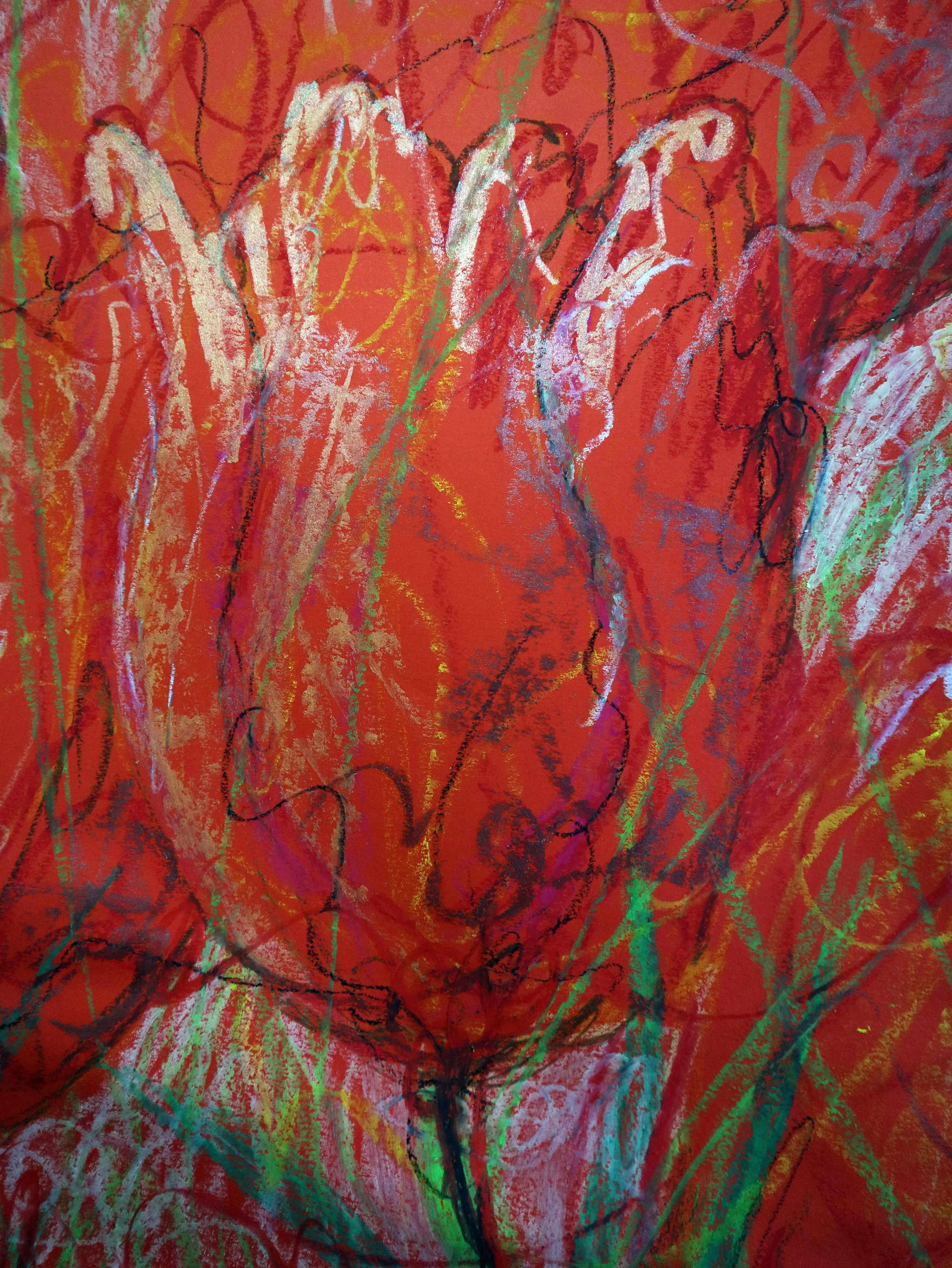 Tulipani 5 in vendita 6