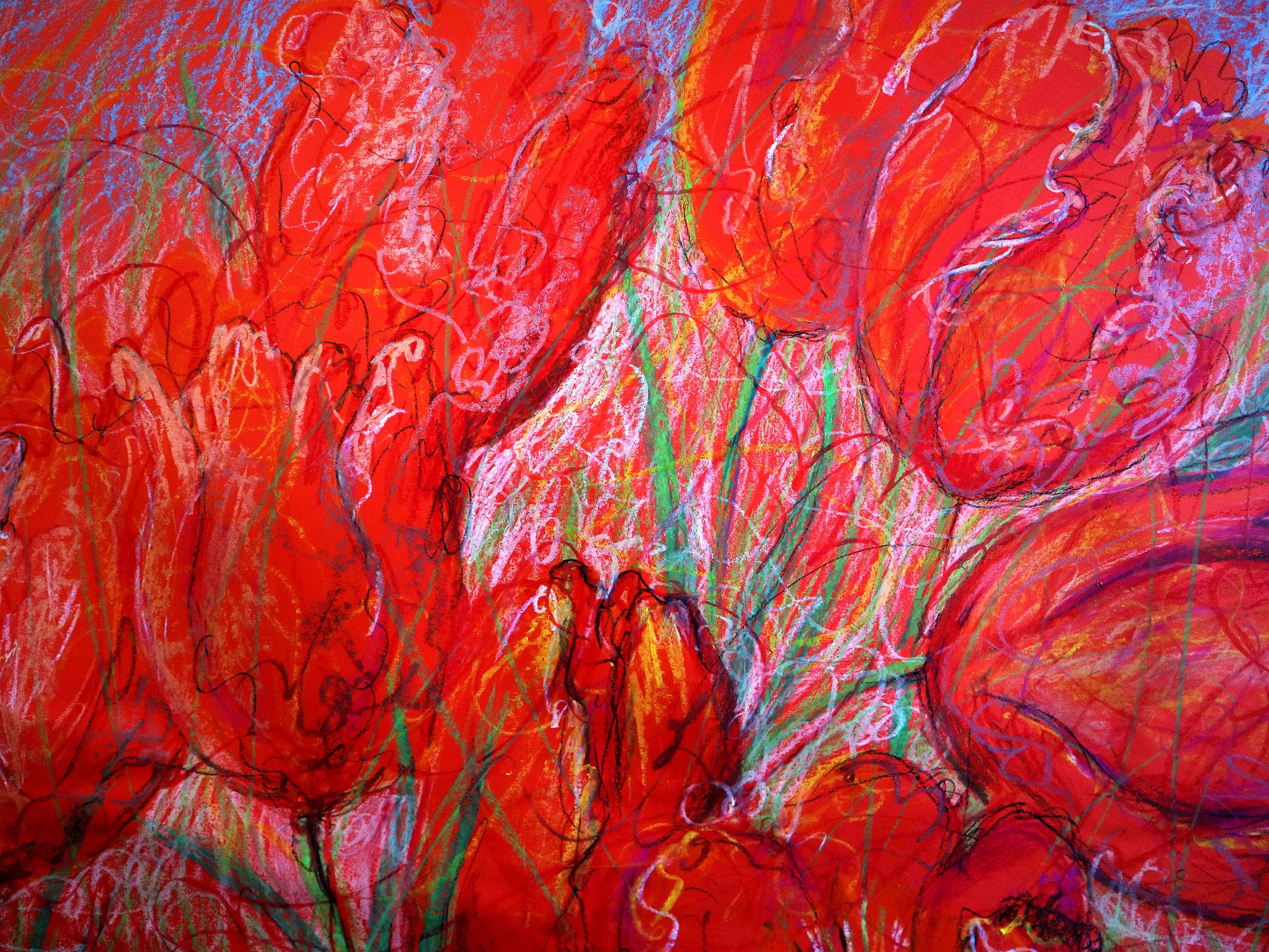 Tulipani 5 in vendita 7