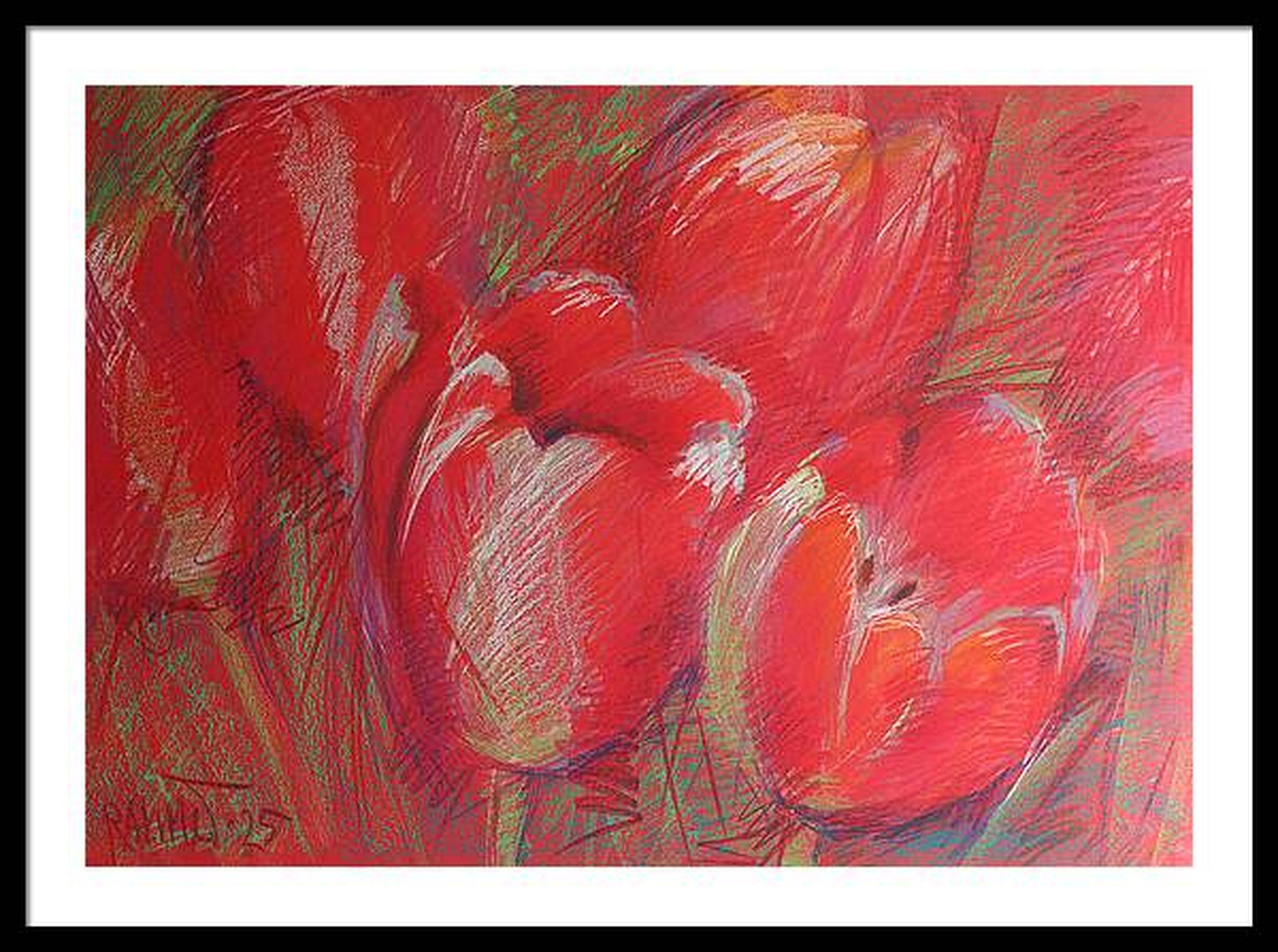 Tulips , Red For Sale 8