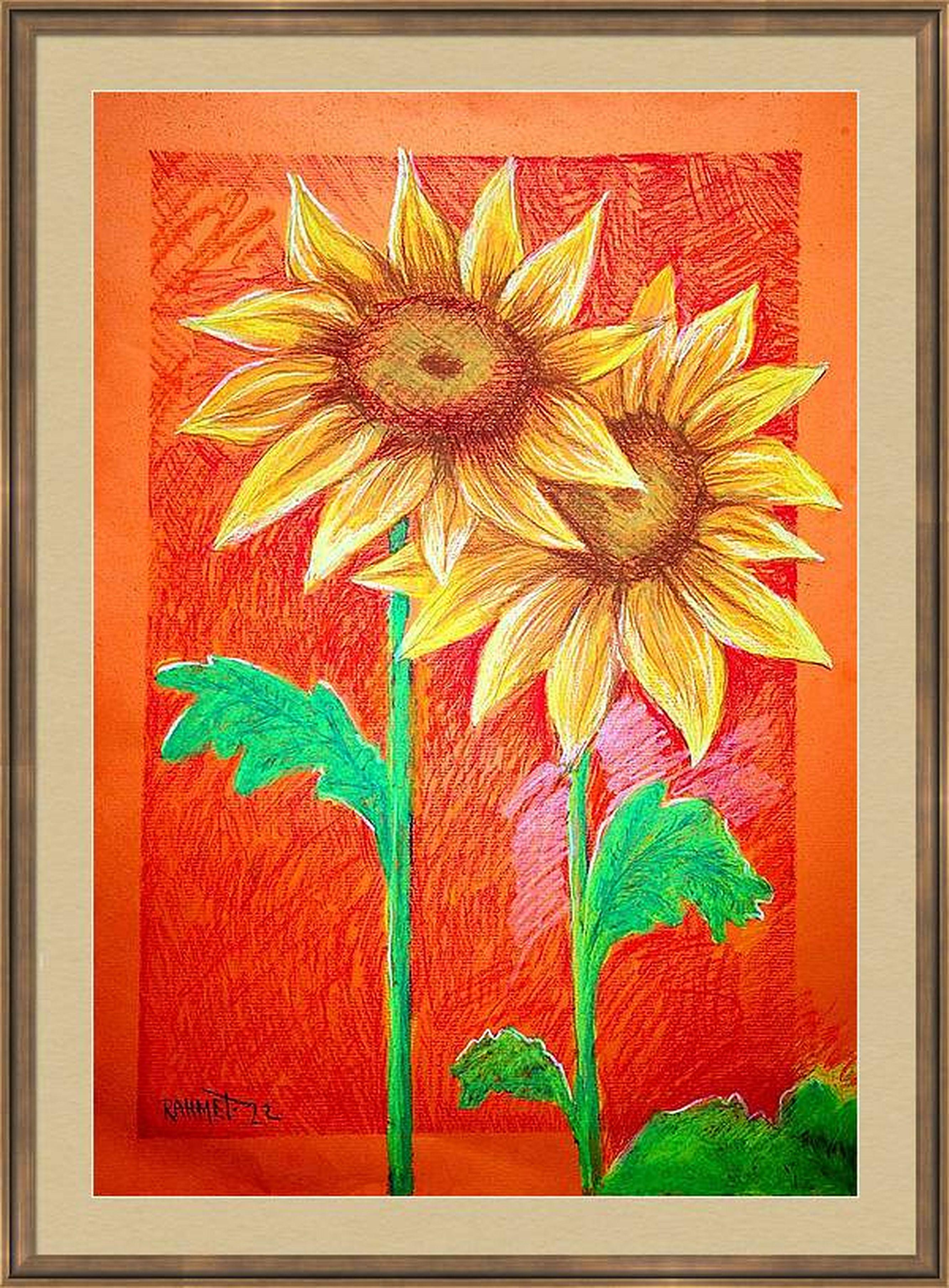 Dos girasoles en venta 7