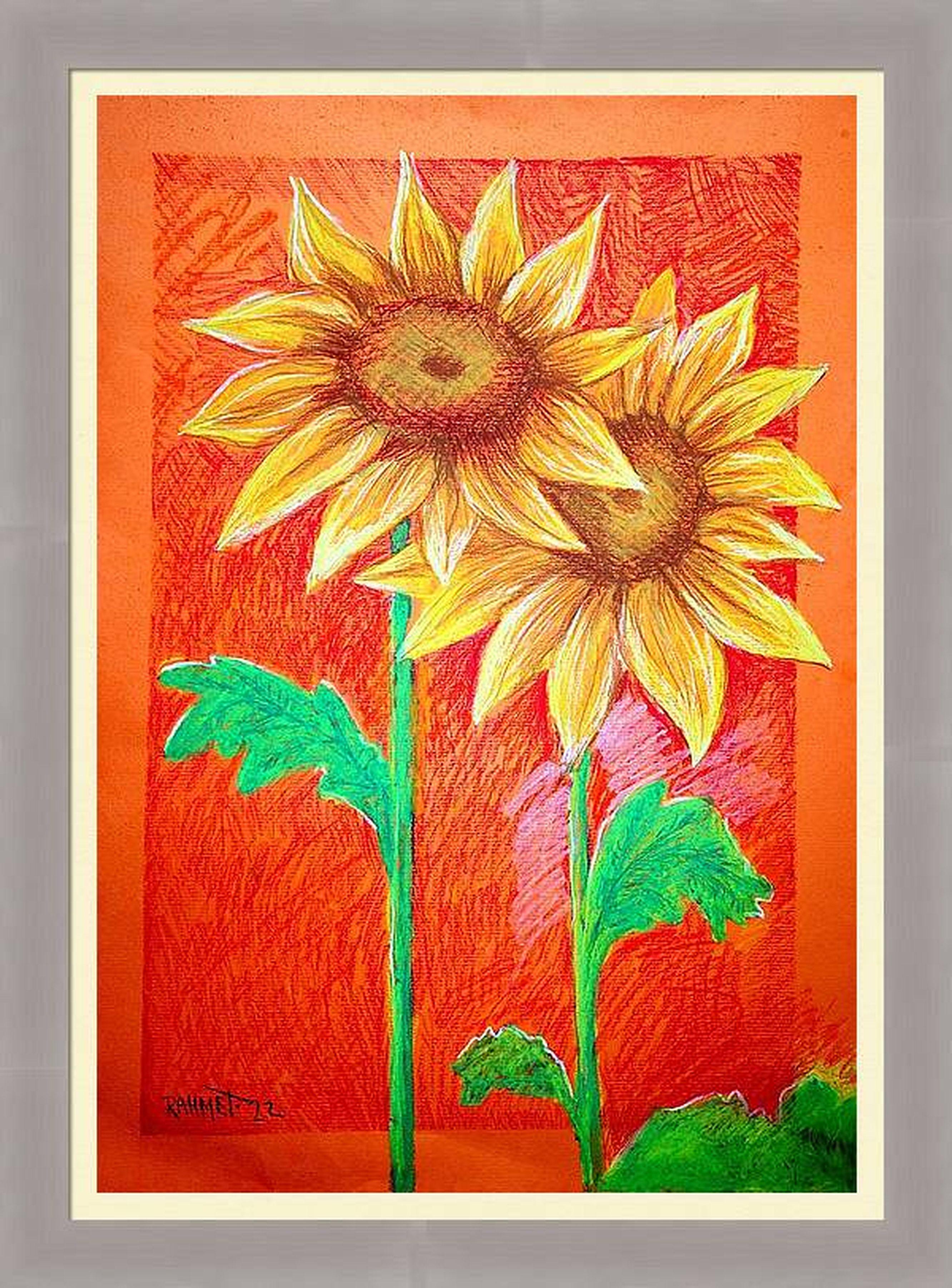 Dos girasoles en venta 10