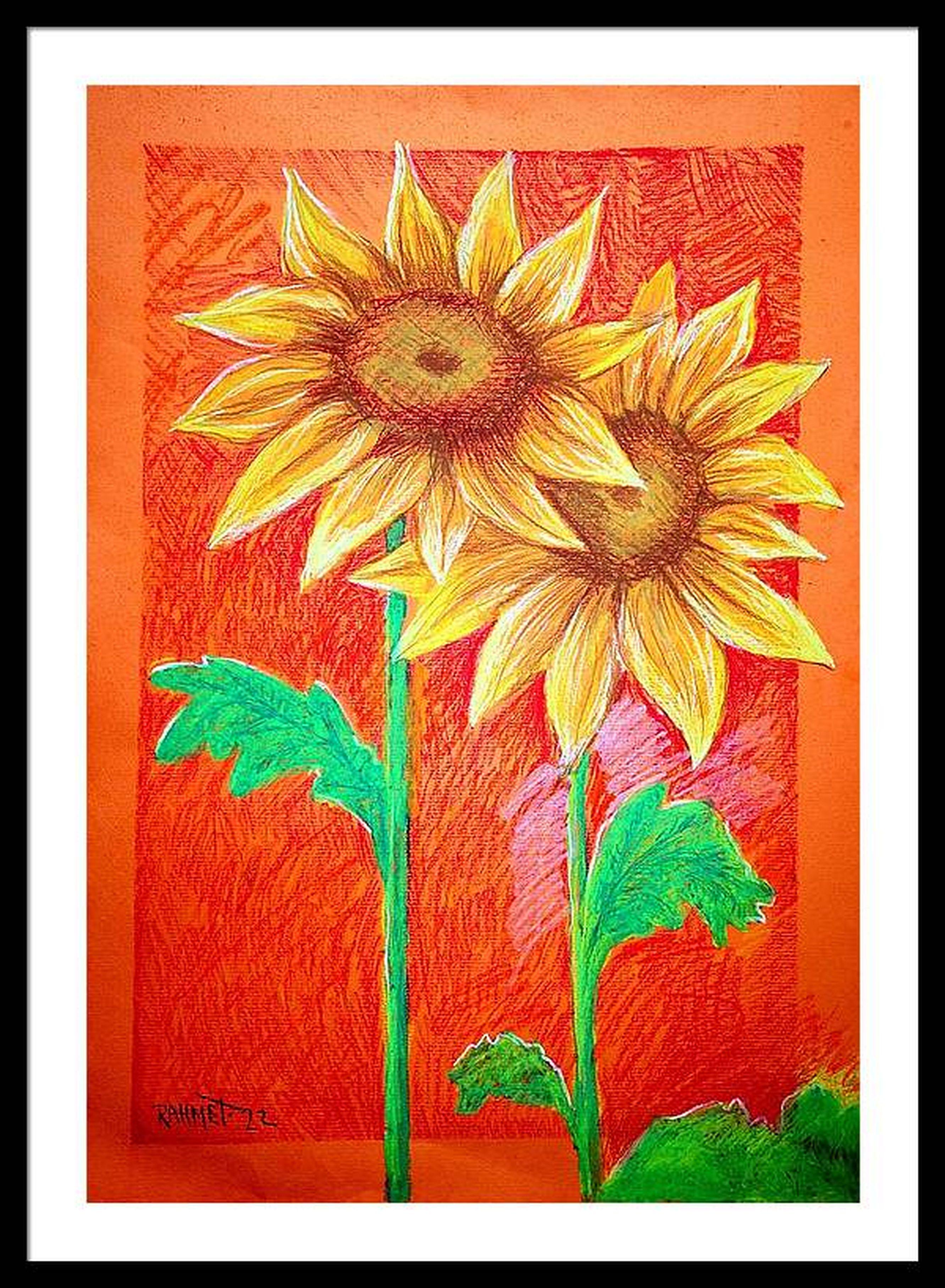 Dos girasoles en venta 11