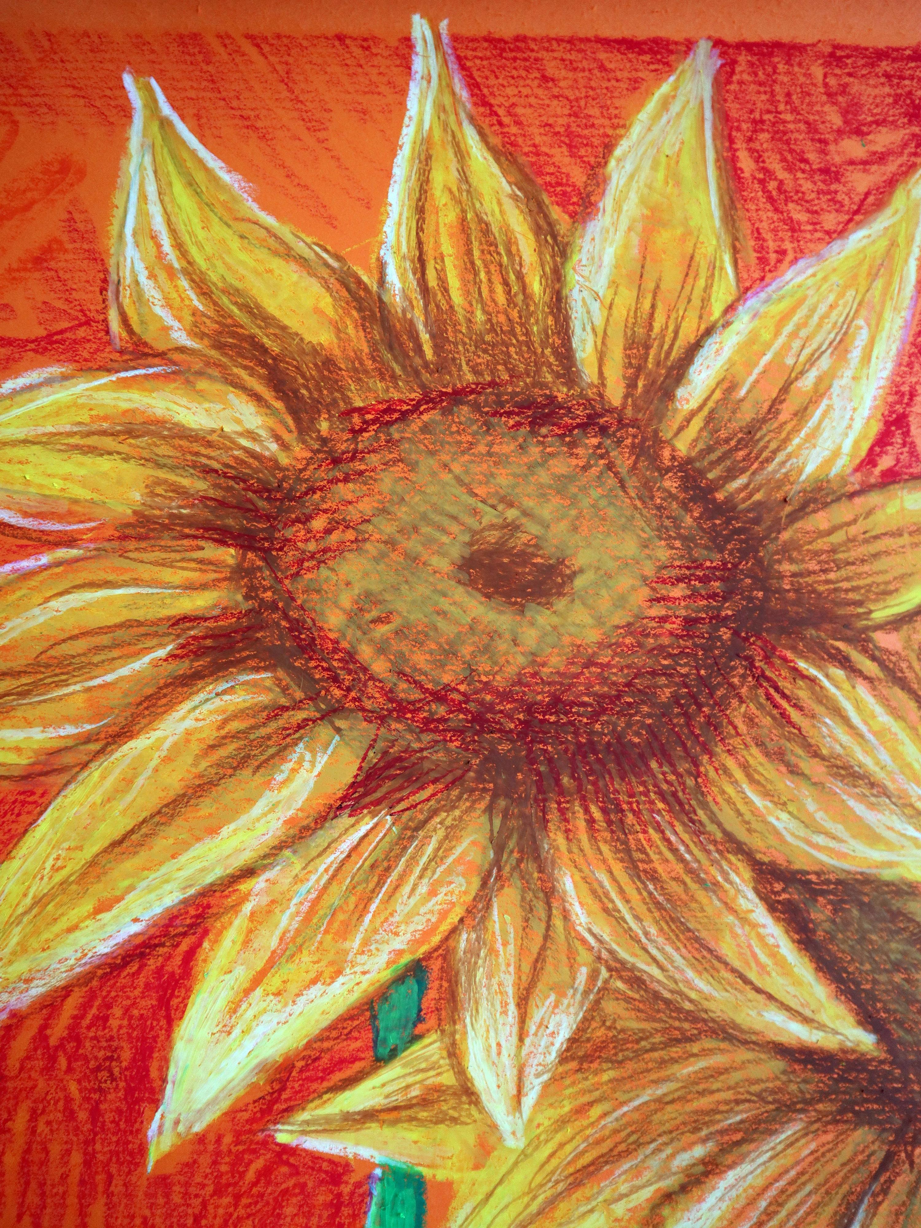 Dos girasoles en venta 1