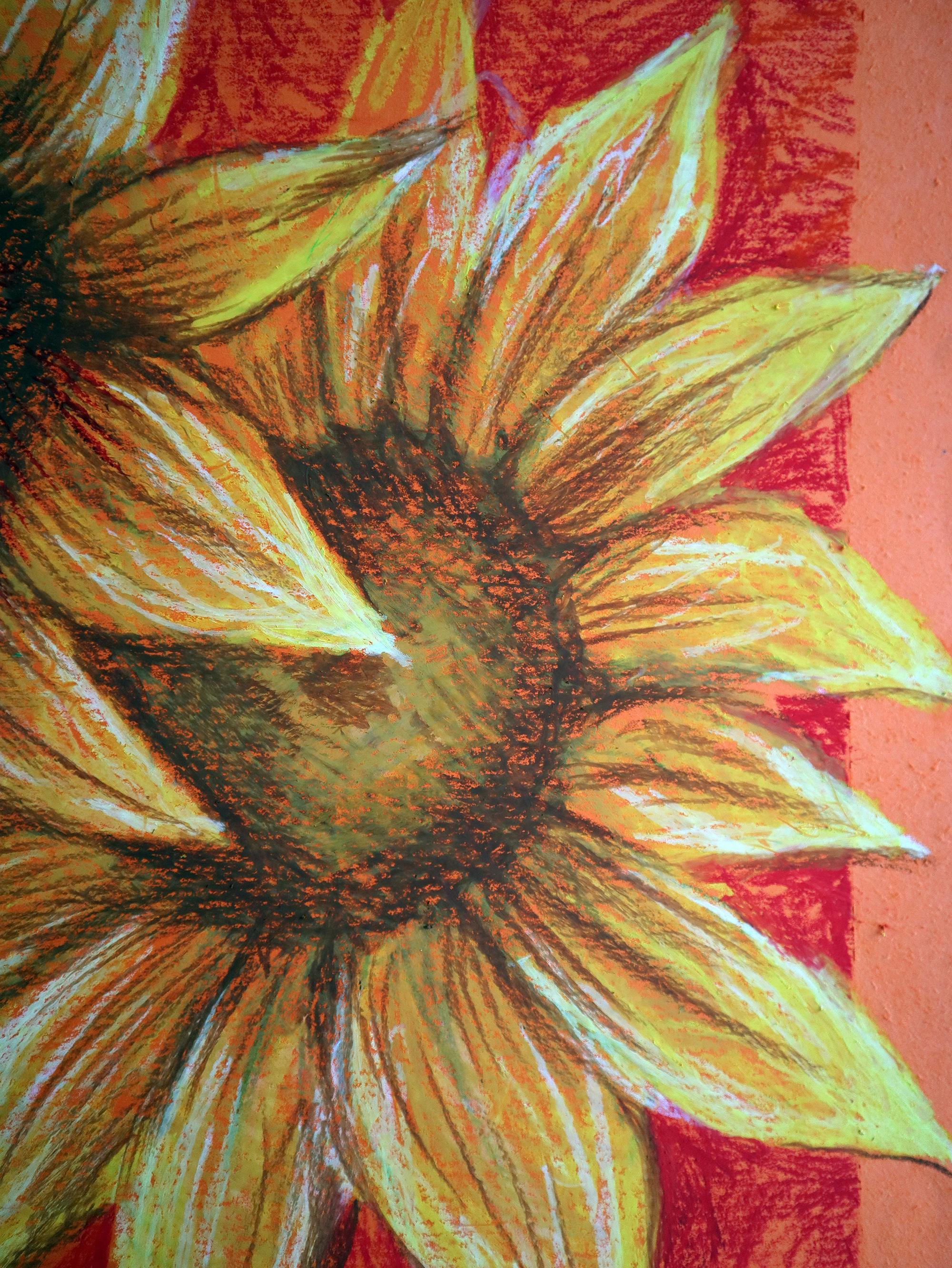 Dos girasoles en venta 2