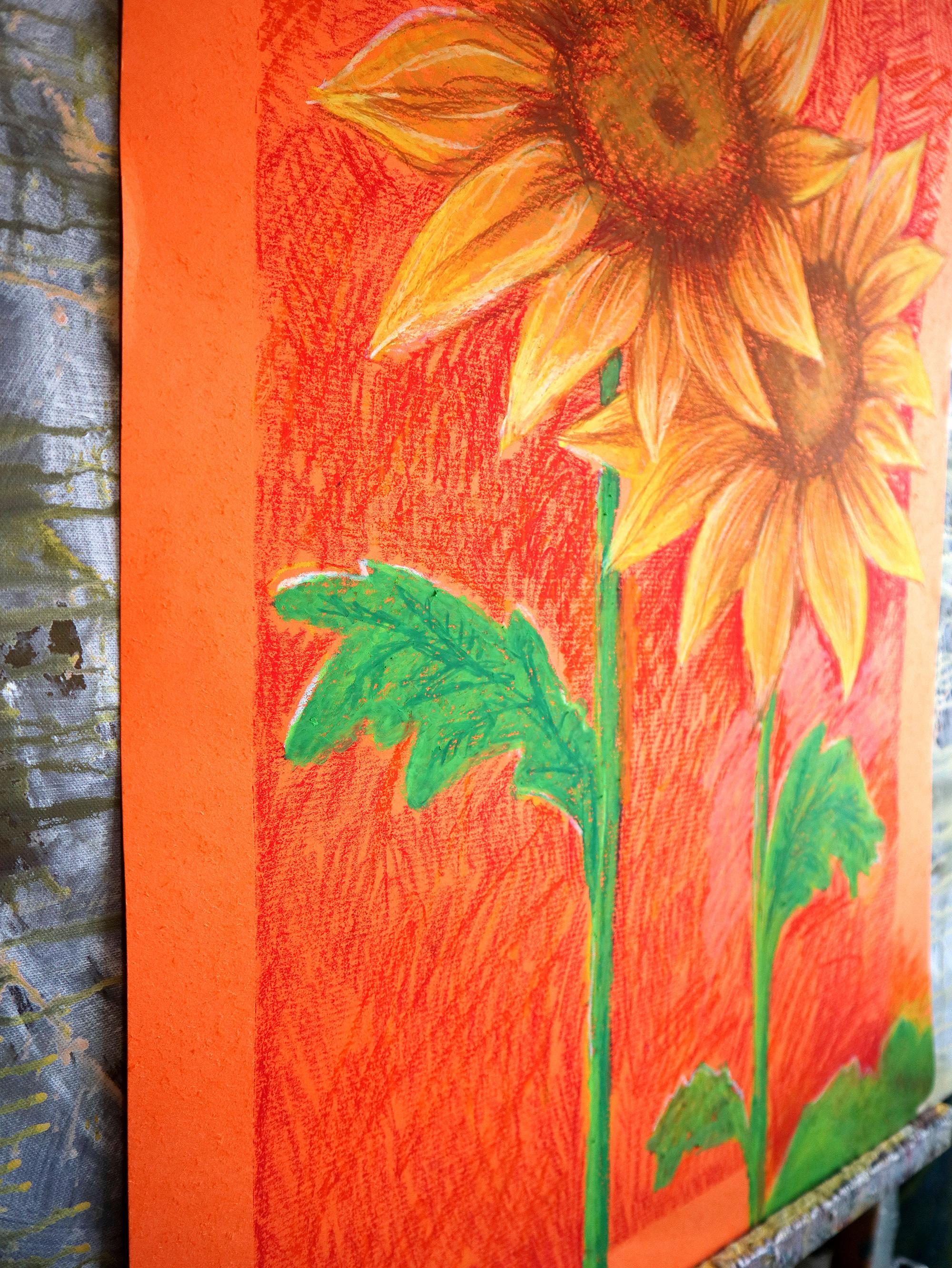 Dos girasoles en venta 4