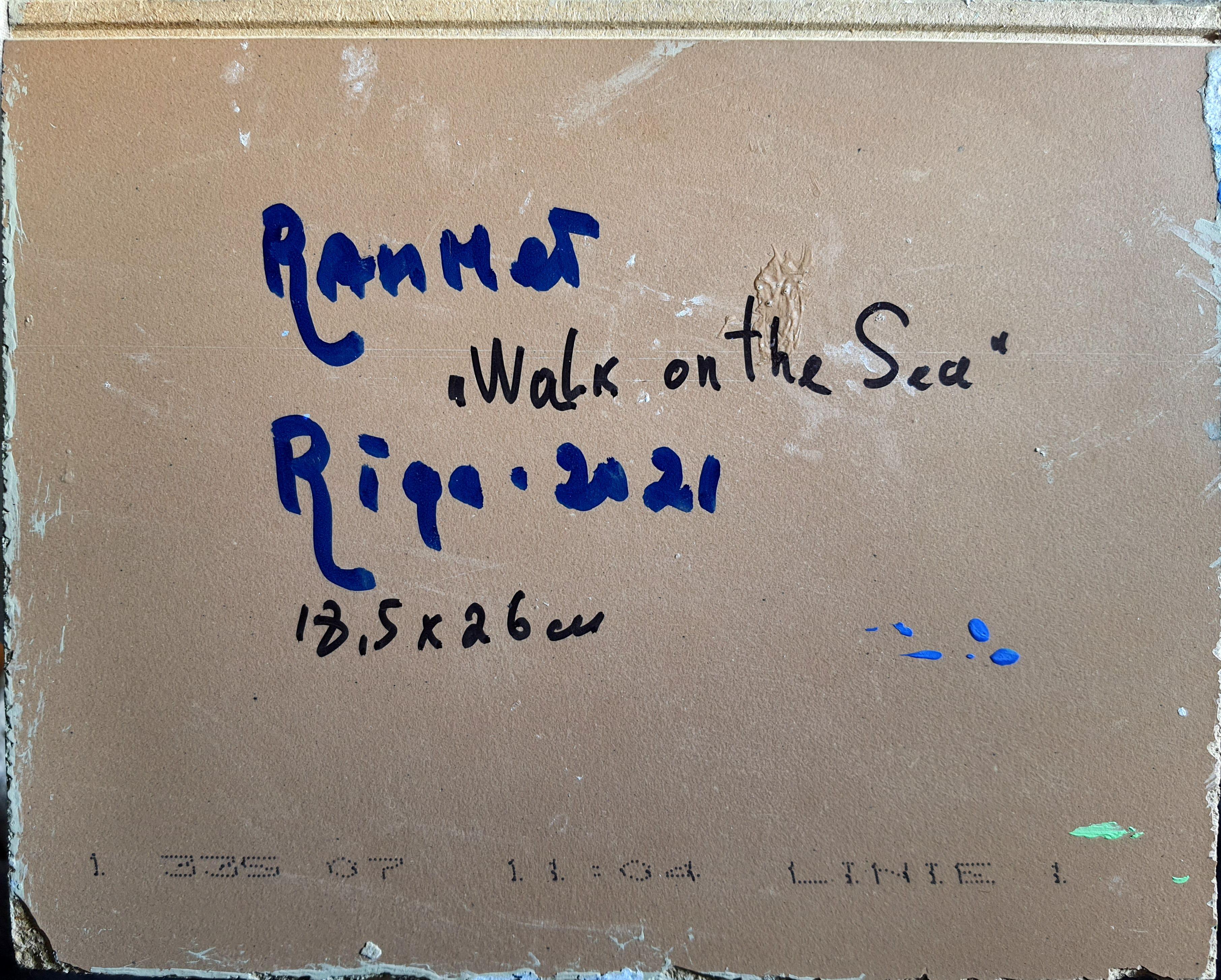 Walk on the Sea For Sale 2