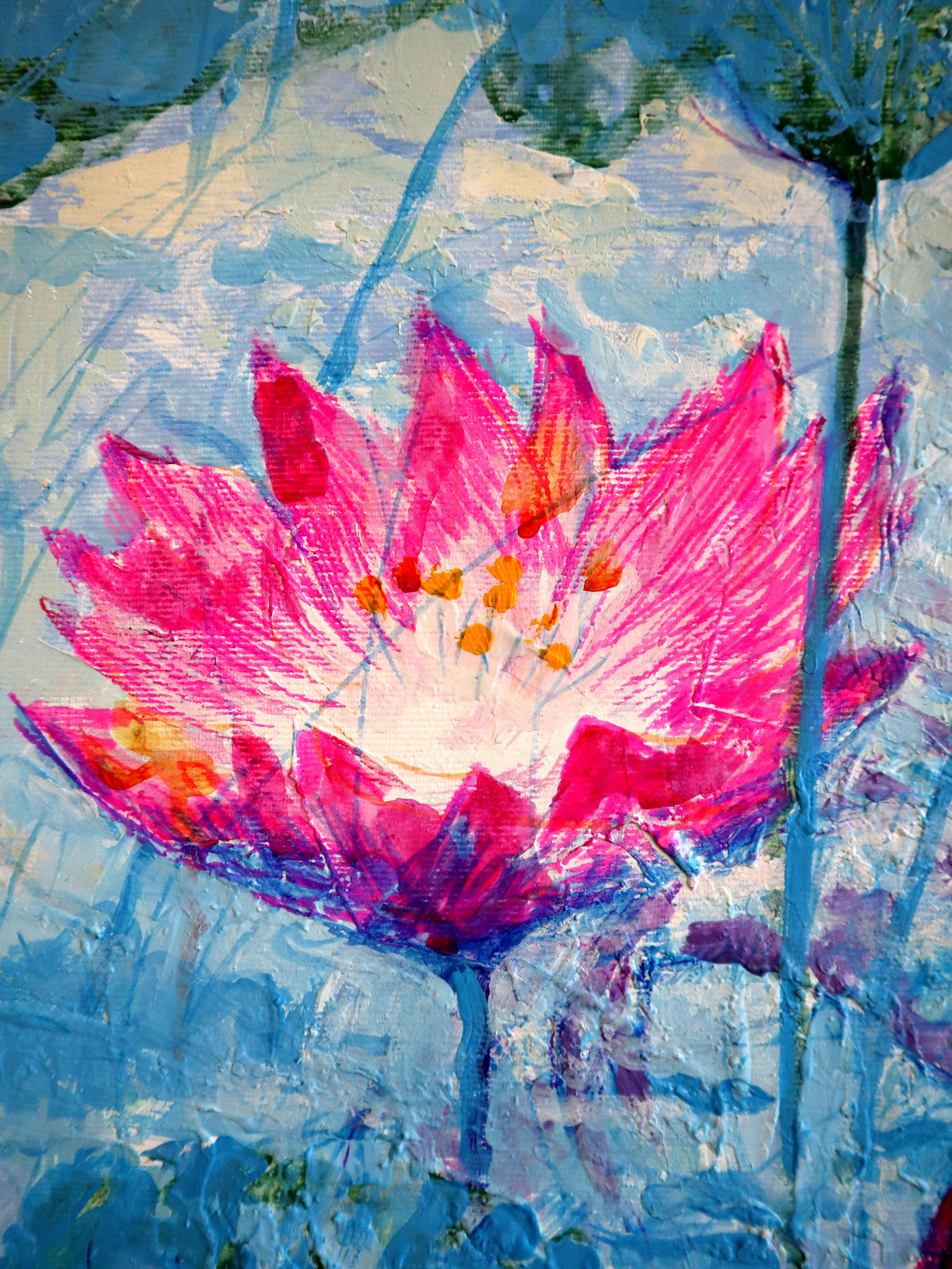 Nénuphars et poissons koï en vente 5