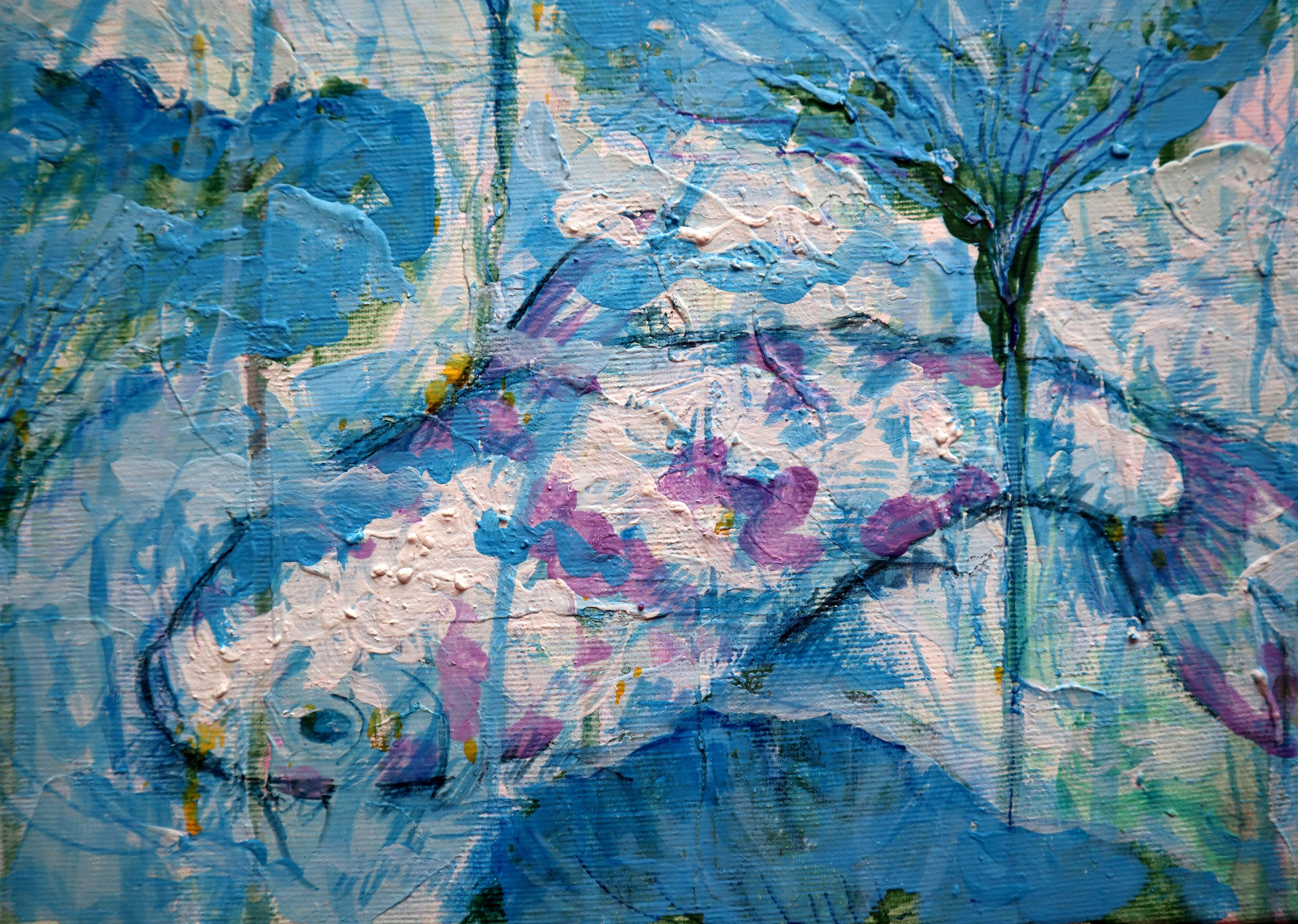 Nénuphars et poissons koï en vente 8