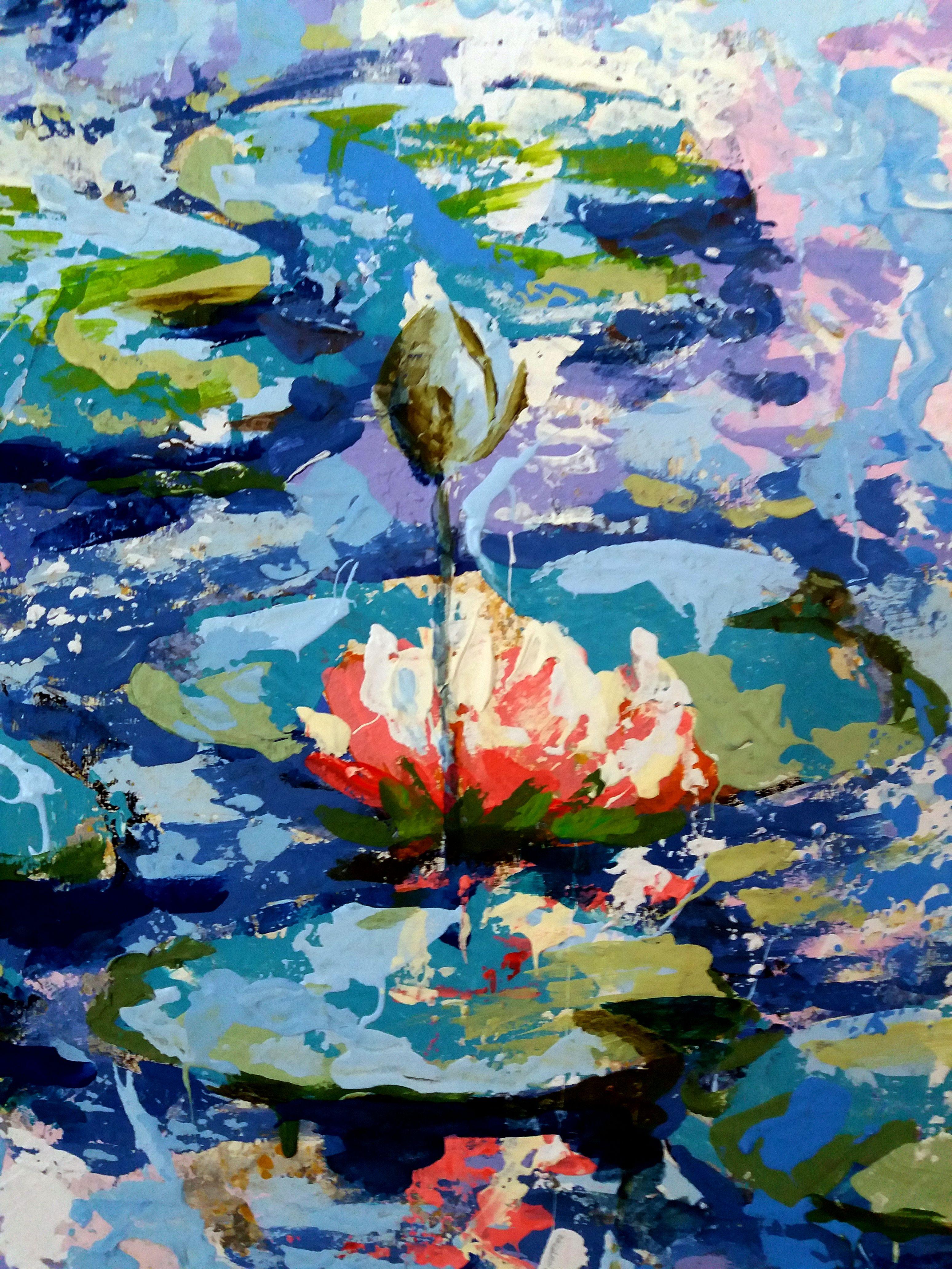 Water Lily For Sale 7