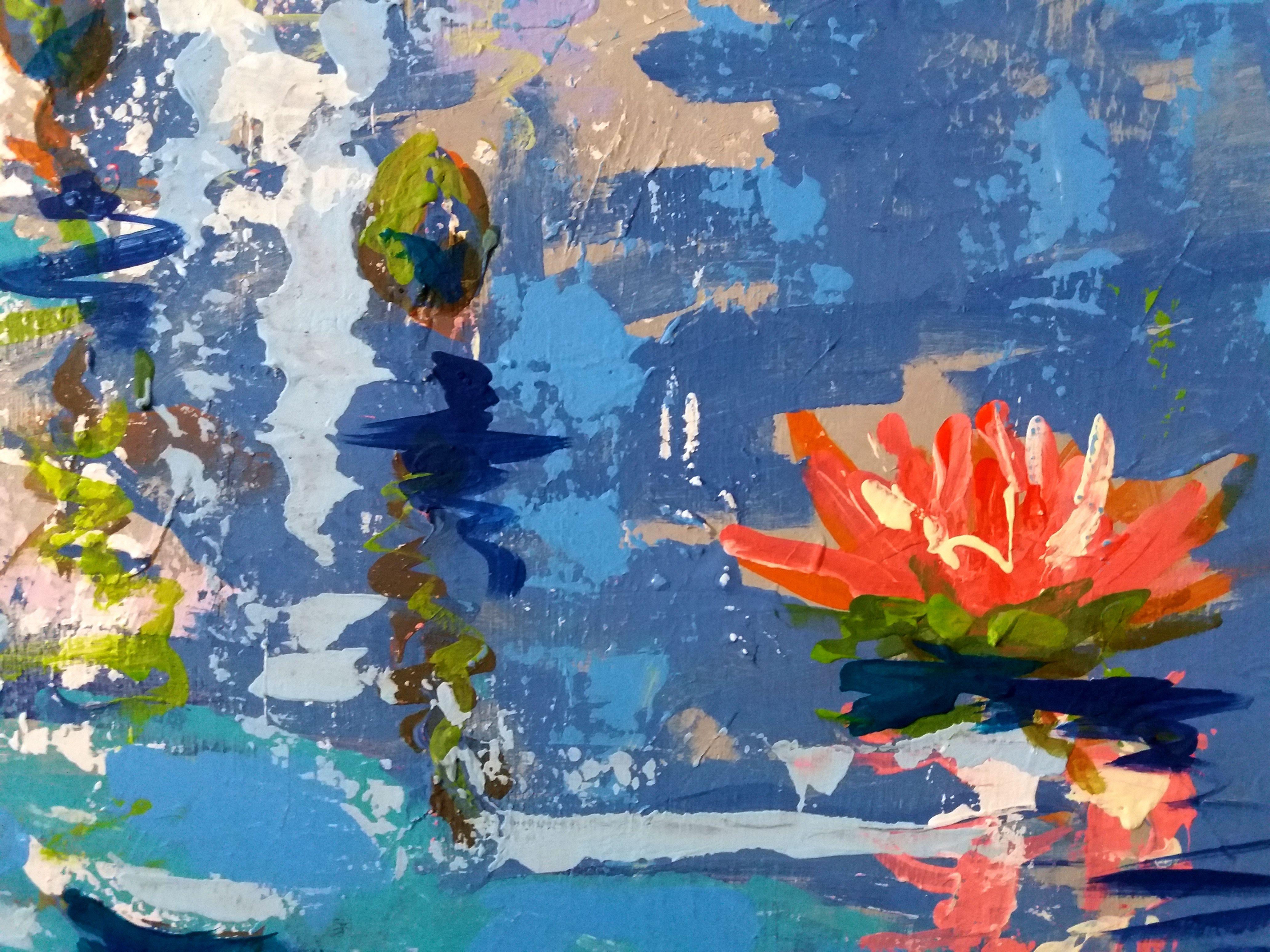 Water Lily For Sale 4