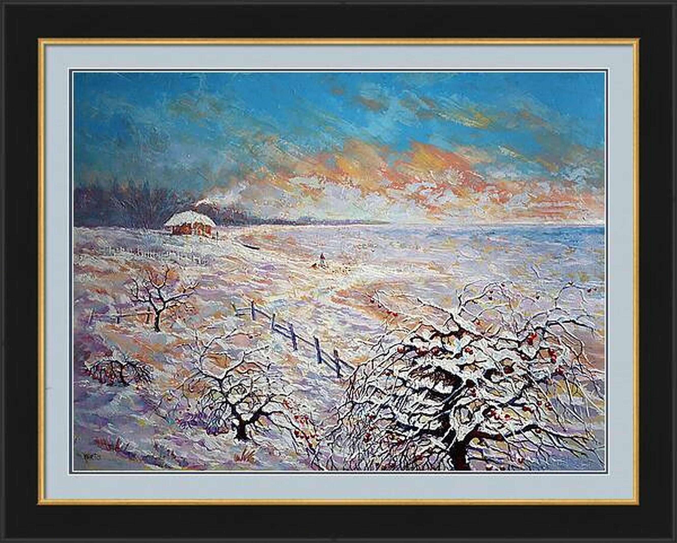 Anciennes pommes, dunes en vente 9