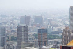 Di che colore sono gli dei? Apri il lembo superiore e ripiegalo su se stesso.