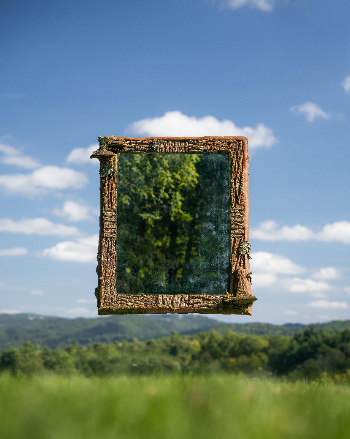 Woodland Mirror hand-crafted by artist Raleigh Adams using kiln-dried hardwoods sourced from the Appalachian Mountains, inspired by the forms and proportions of classical art and architecture. This mirror features a bevelled-edge garden looking