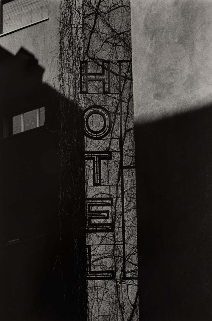Untitled (from the series "Chiaroscuro")