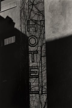 Untitled (from the series "Chiaroscuro")