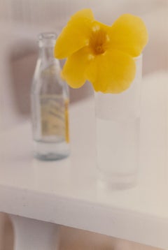 Vintage Yellow Flower, St. Barts