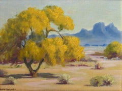 Southwest Landscape