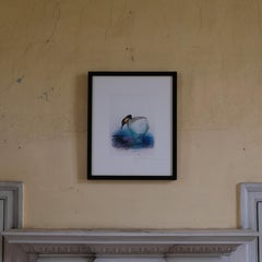 Ralph Steadman - Columbian Grebe