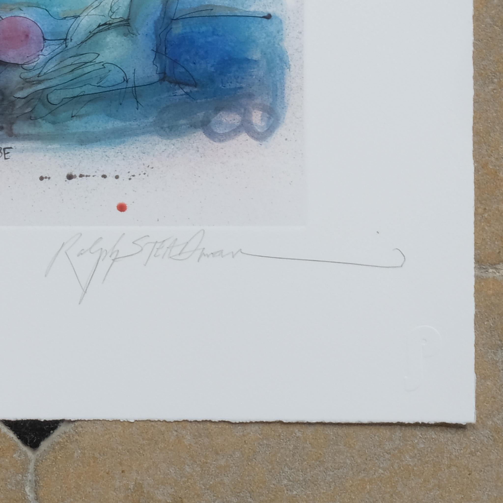 Ralph Steadman - Columbian Grebe In Excellent Condition For Sale In Kettering, GB