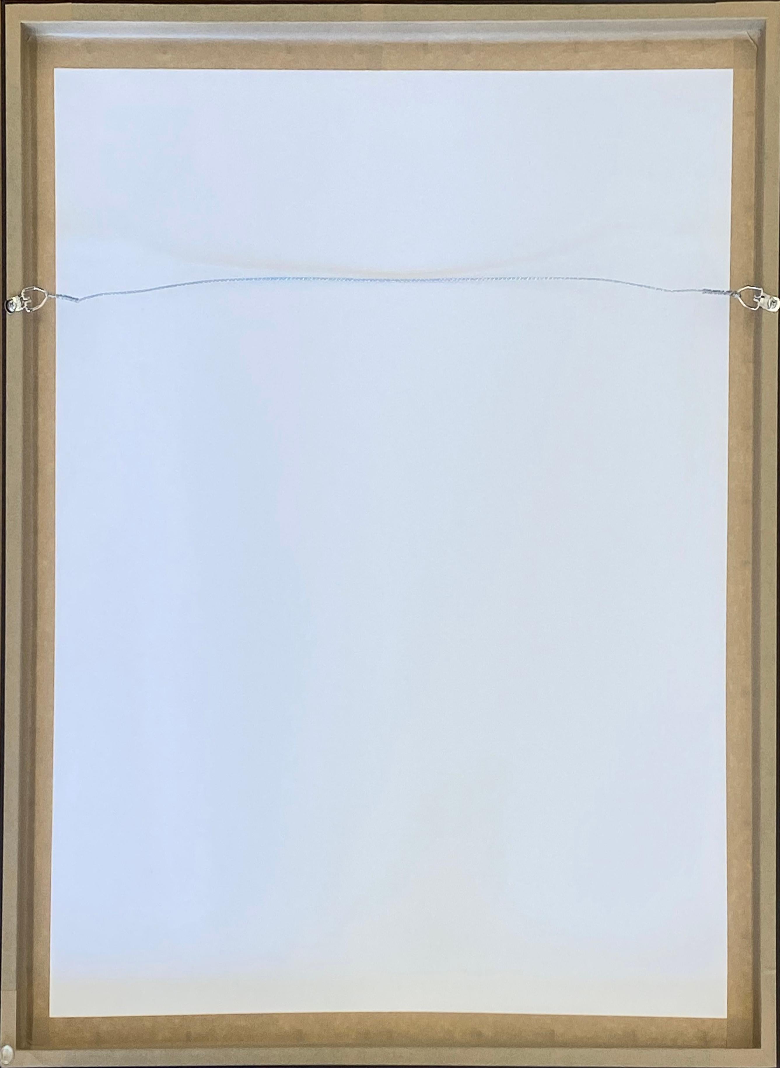 Künstler: Ralph Steadman
Titel: Alberts alte Dame
Medium: Einfarbiger Siebdruck auf White Rising Stonehenge Deckle Edge Papier
Größe: 22 x 30 Zoll 
Auflage: von 250
Jahr: 2006
Anmerkungen: Custom Framed in einem flachen schwarzen Rahmen zu passen.