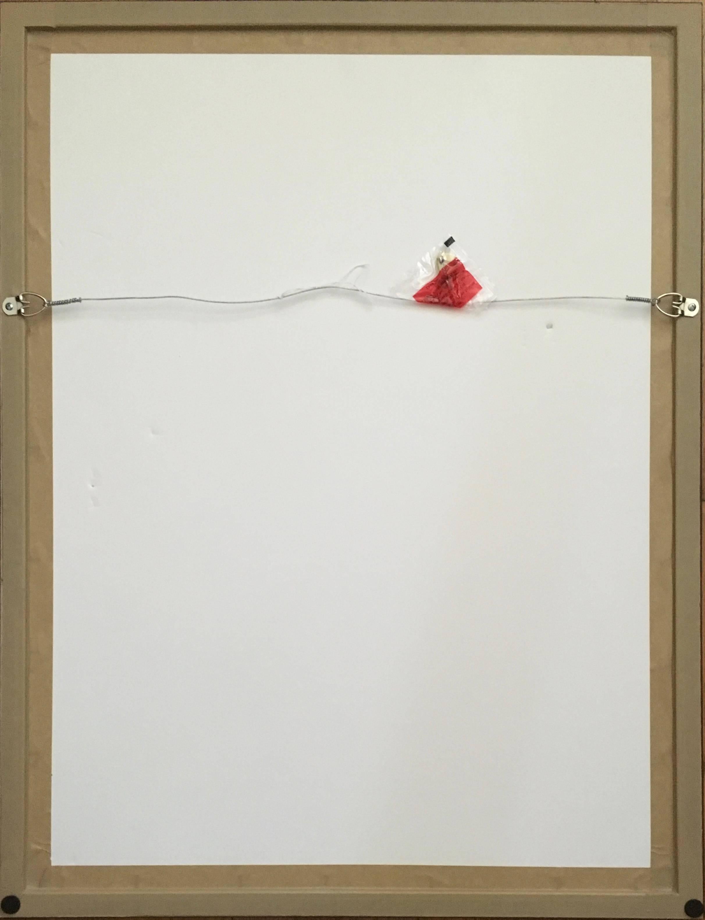 The Temple, Großer Frauenakt mit Regenbogen Ralph Steadman im Angebot 5