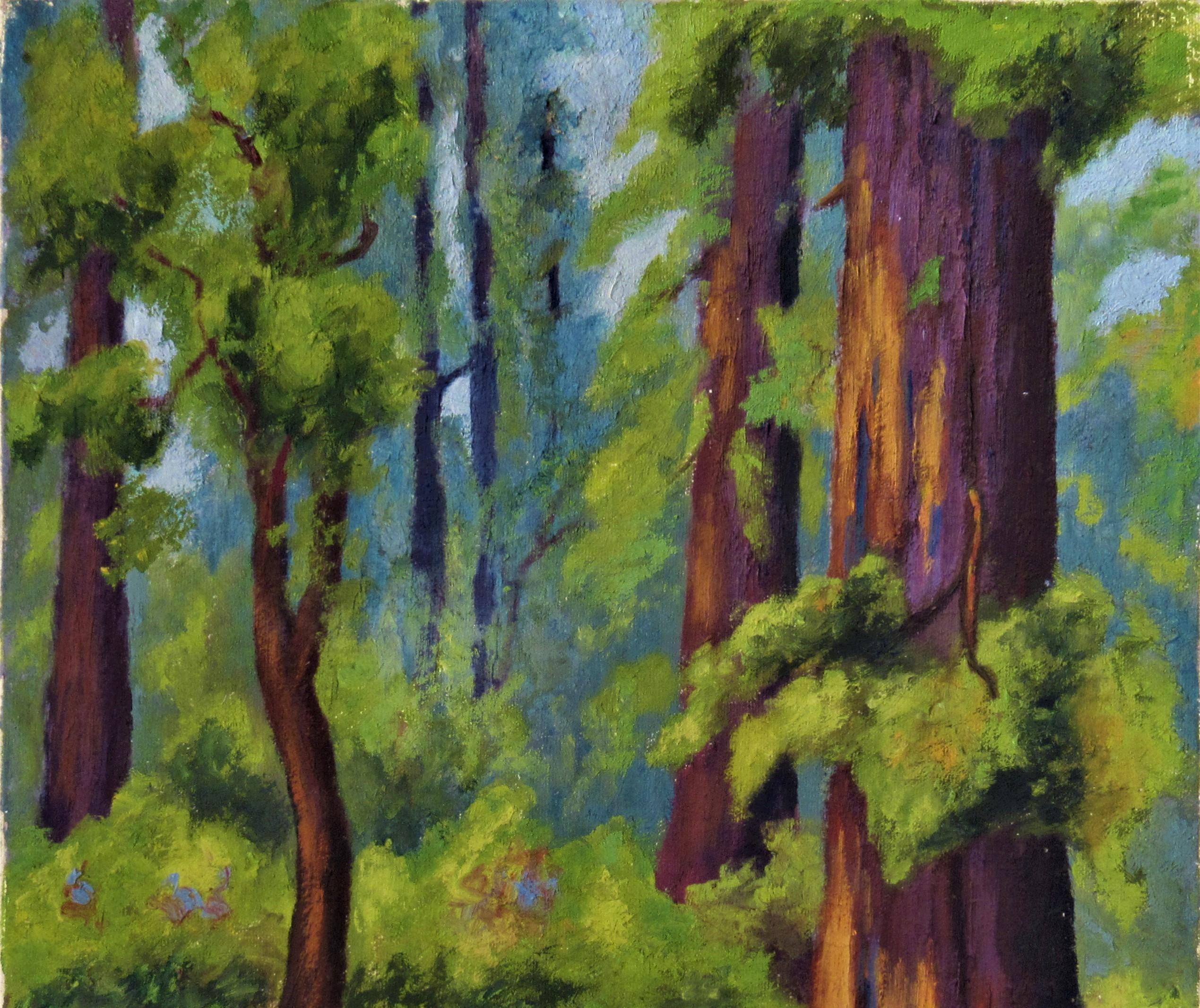 Redwood Forest - Painting by Ralph Victor Murray