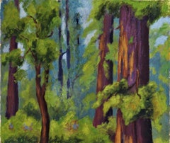 Redwood Forest