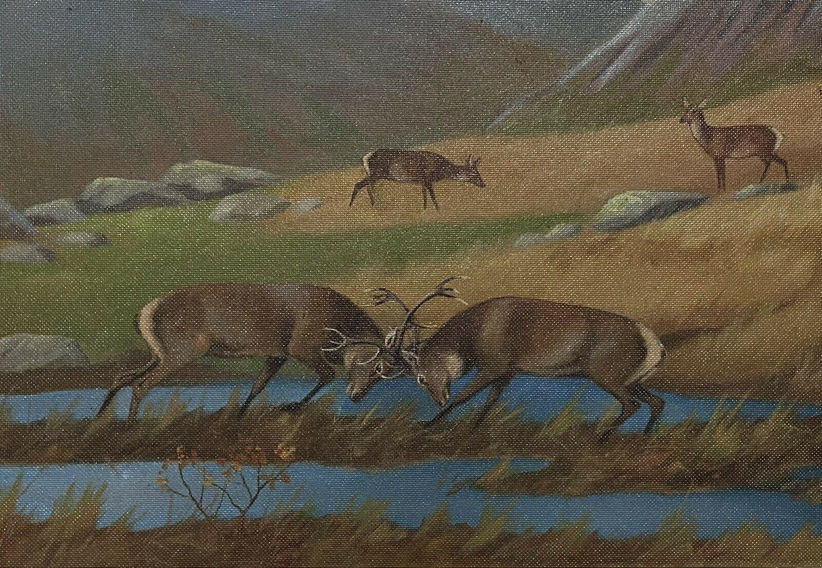 Stags Rutting in Scottish Highland Landscape Family of Deer Signed Oil Painting For Sale 1