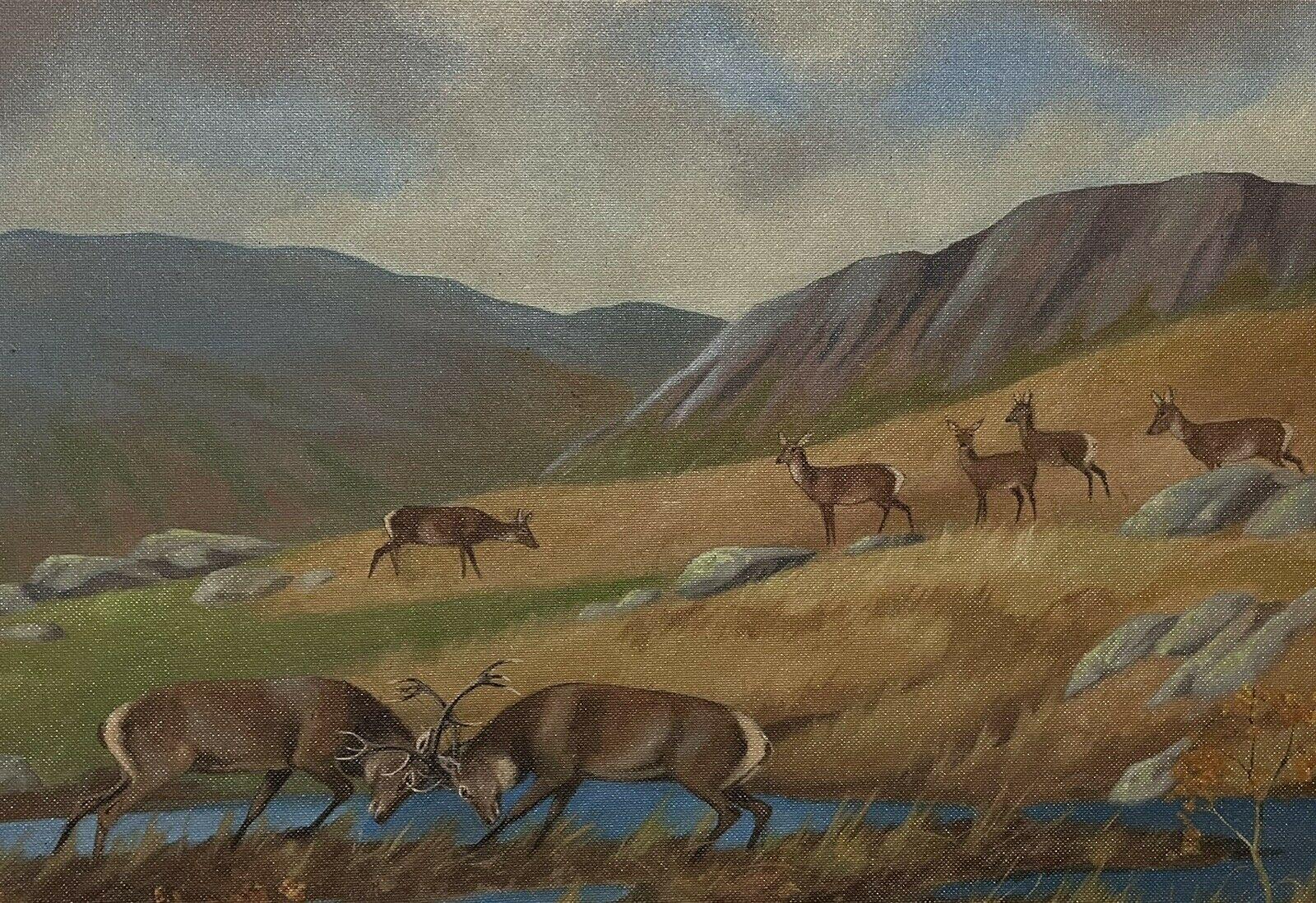 Peinture à l'huile signée « Stags Rutting in Scottish Highland Landscape » représentant une famille de cerfs en vente 1