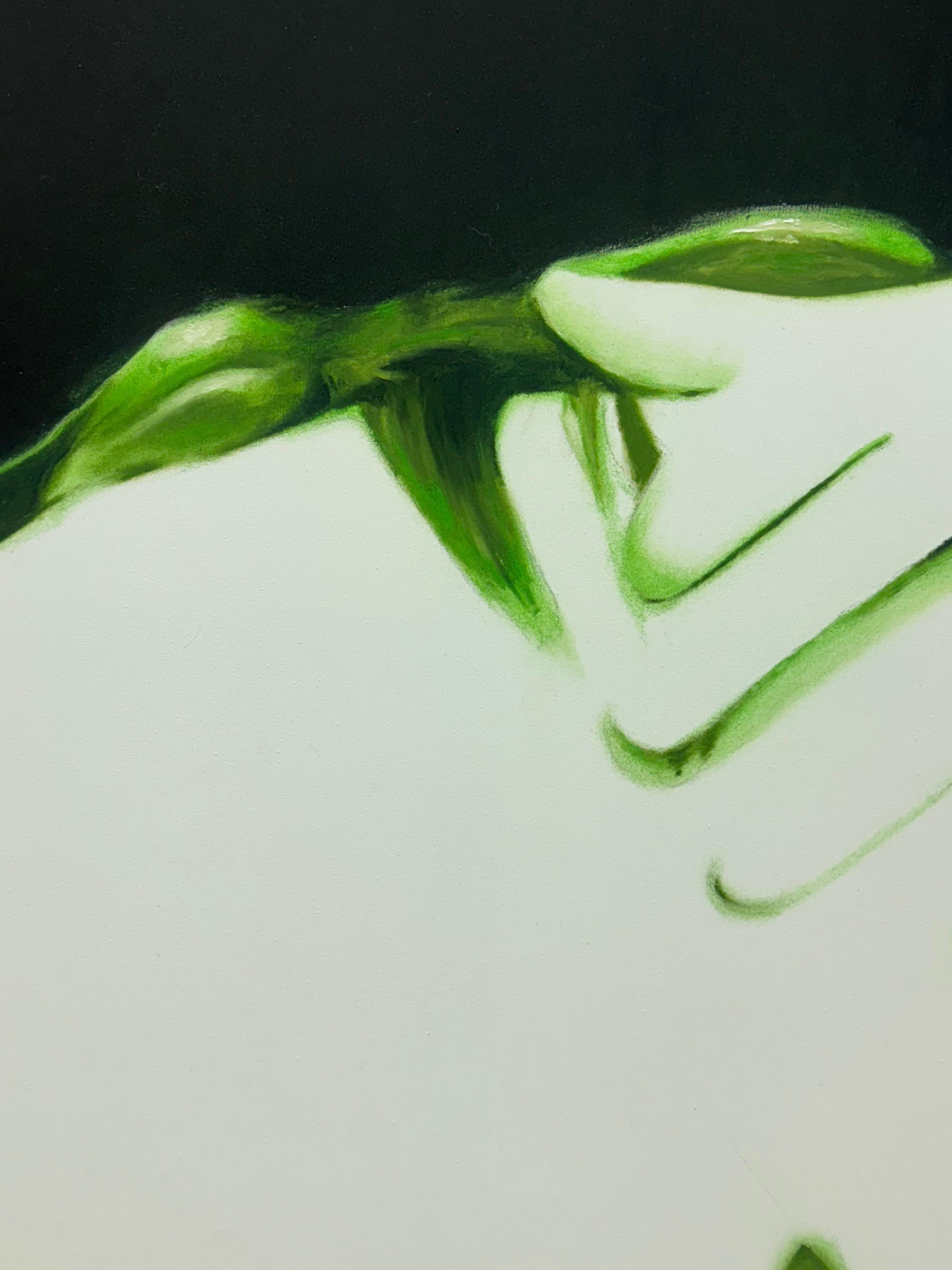 Raminta S.R. Mint, a young and emerging artist, challenges traditional representations of the body, positioning it as a reflection of contemporary society’s fixation on physicality and identity. She examines the body not as a sensual, subjective