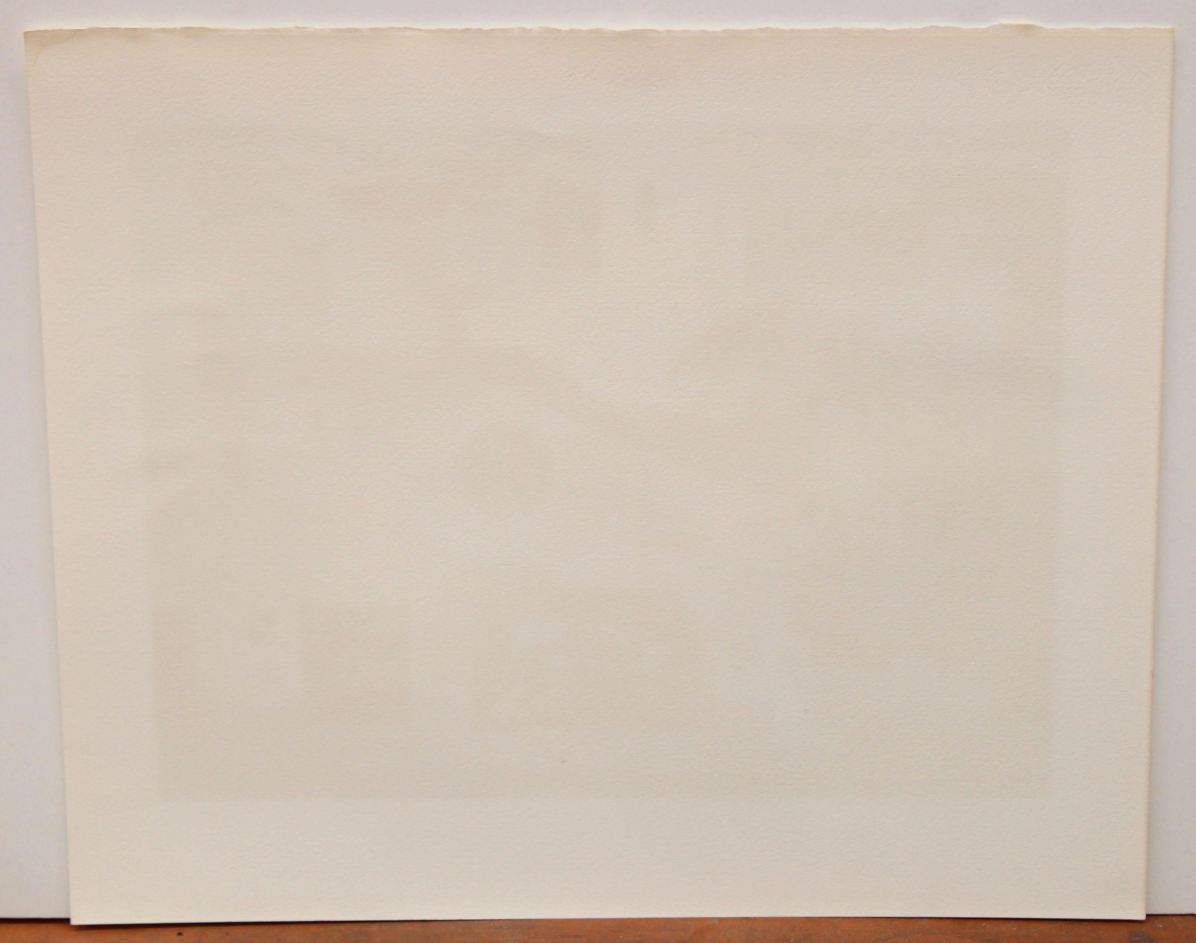 Firmada a lápiz por el artista en la parte inferior y con tiraje 13/250

En buen estado de conservación

Sin enmarcar

Medidas: 49 cm x 58 cm.
