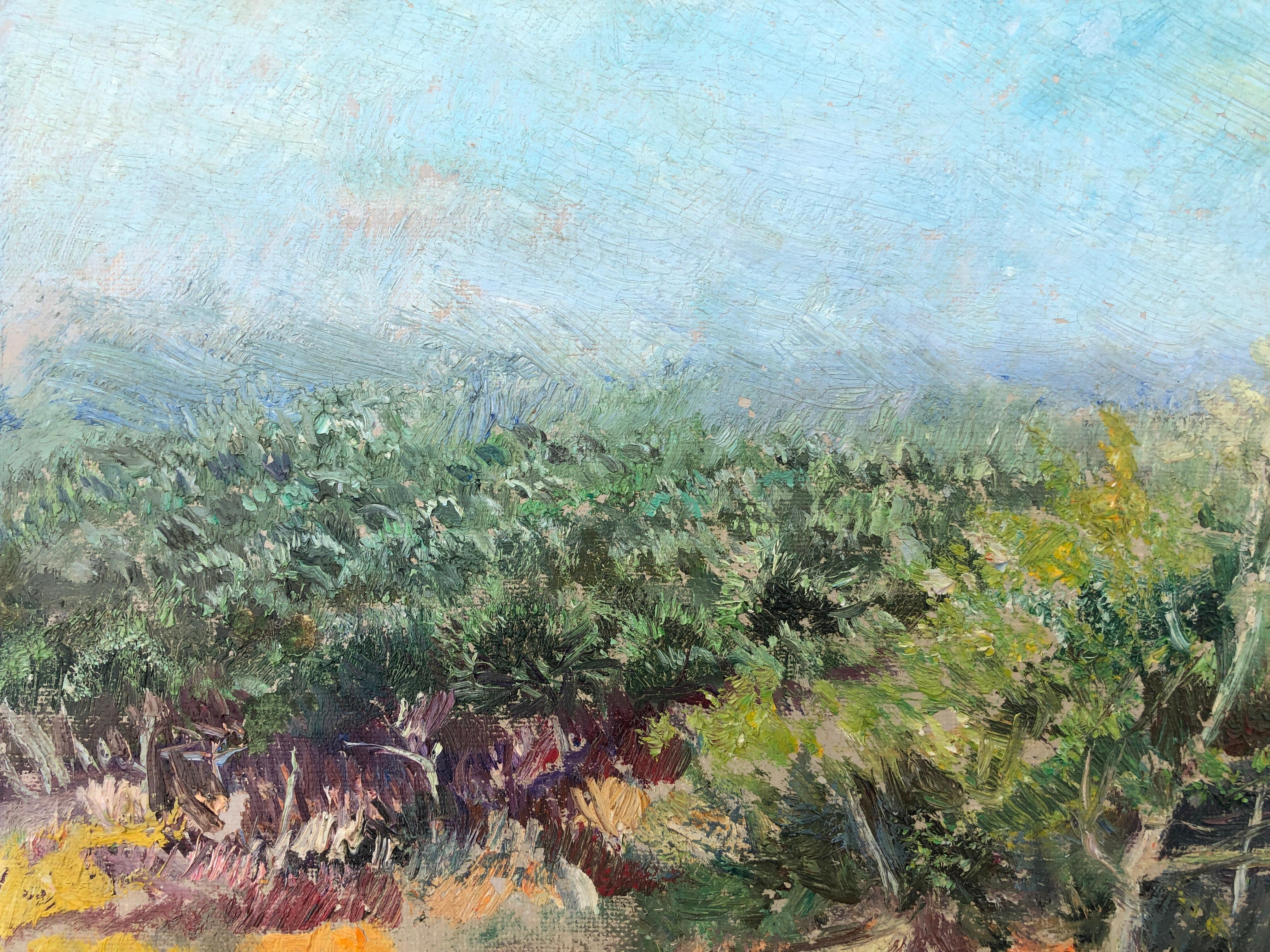 Landschaft mit Hut, Öl auf Leinwand, Gemälde im mediterranen Raum, spanisch (Post-Impressionismus), Painting, von Ramón de Capmany i de Montaner