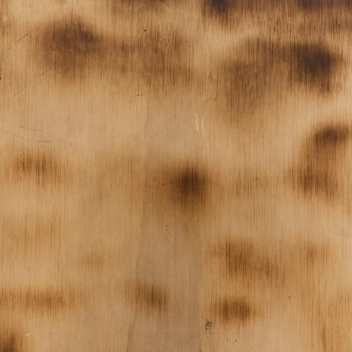 Ramon dels Horts Contemporary Artwork Burned Wood, circa 2018 For Sale 6
